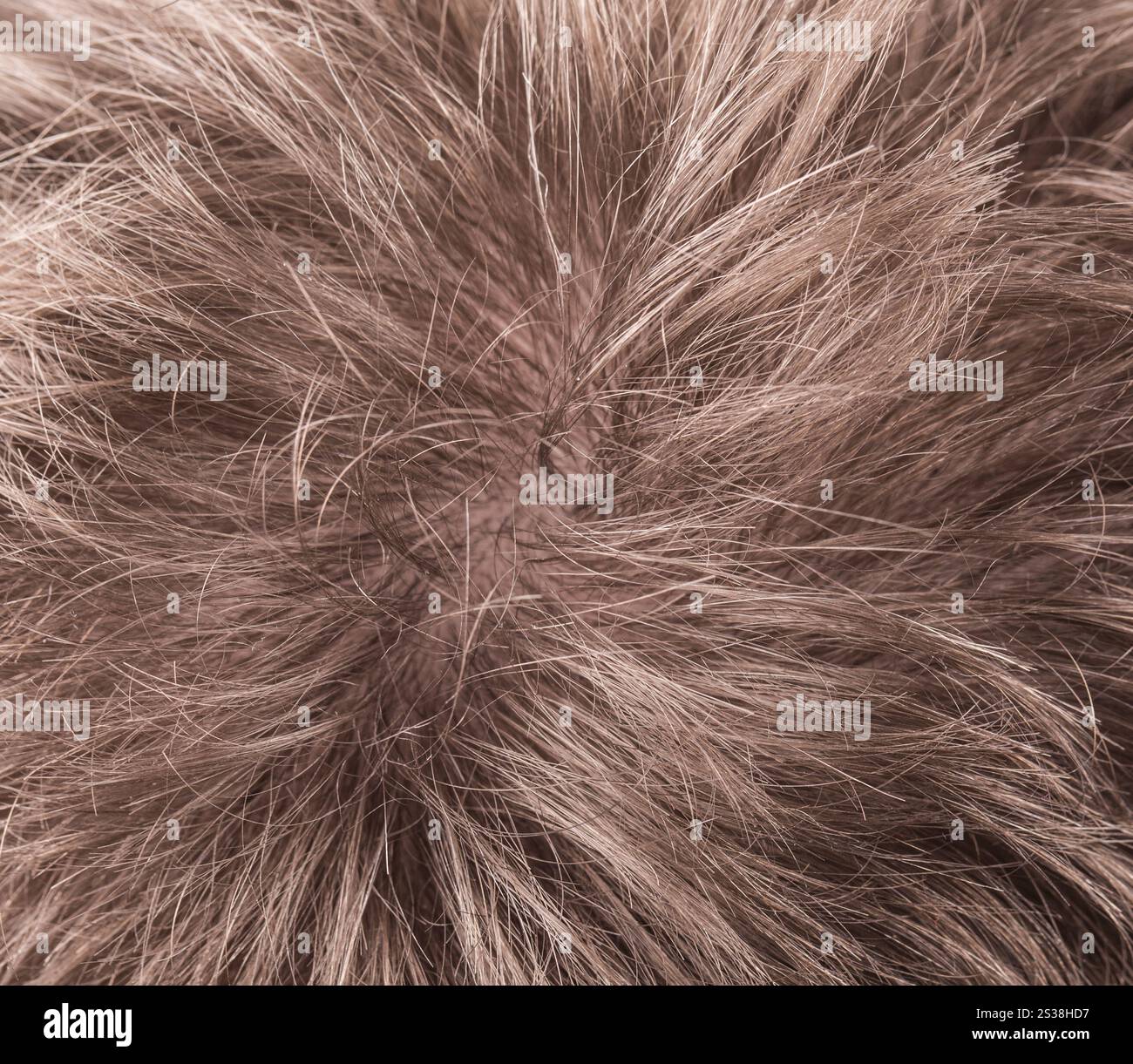 Menschliches Haar Textur Hintergrund Nahaufnahme. Texturhintergrund des menschlichen Haares Stockfoto