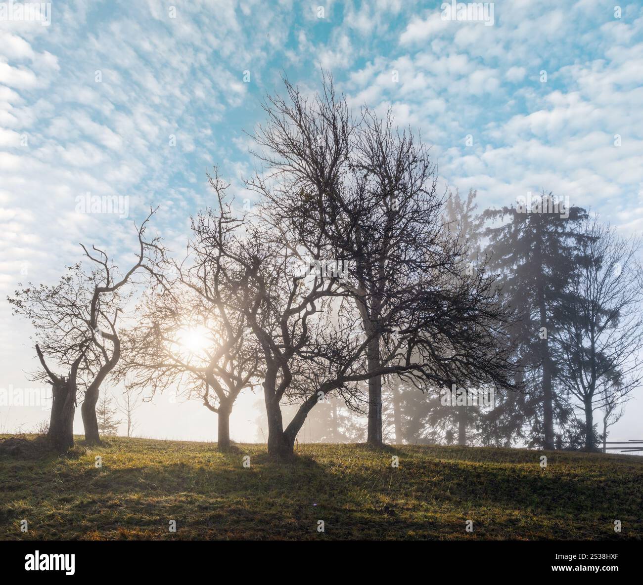 Neblige Herbstlandschaft mit Sonnenaufgang am Berg. Ruhige, malerische Reise, saisonale, Natur- und landschaftliche Beauty-Konzeptszene. Stockfoto