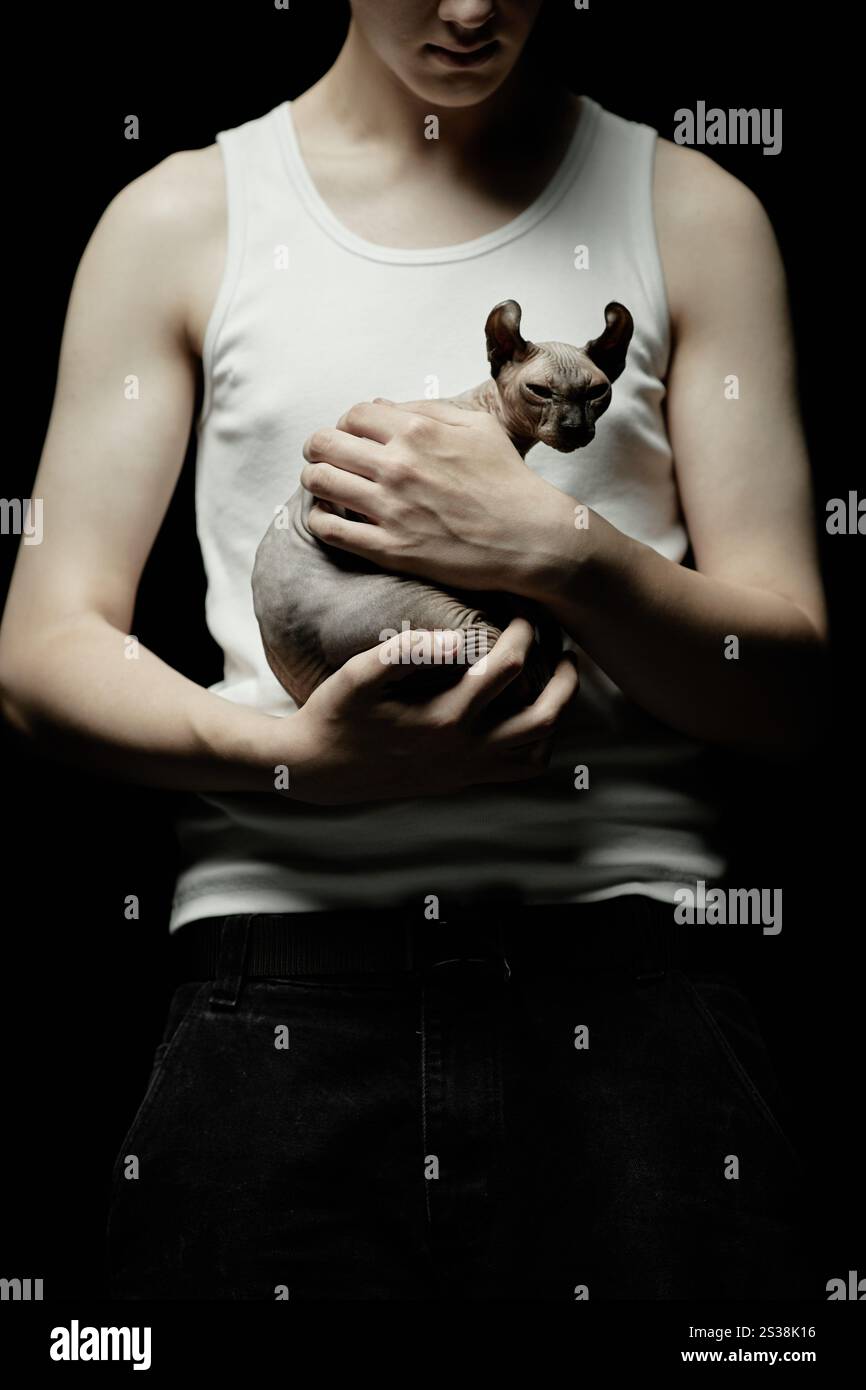 Anmutige Elfenkatze mit nach hinten verdrehten Ohren, die in den Händen des Mannes sitzen und im Atelier im Kontrastlicht blinzeln Stockfoto