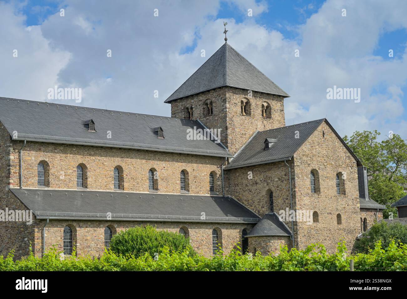 Basilika St. Aegidius Mittelheim, Oestrich-Winkel, Rheingau-Taunus-Kreis, Hessen, Deutschland Stockfoto