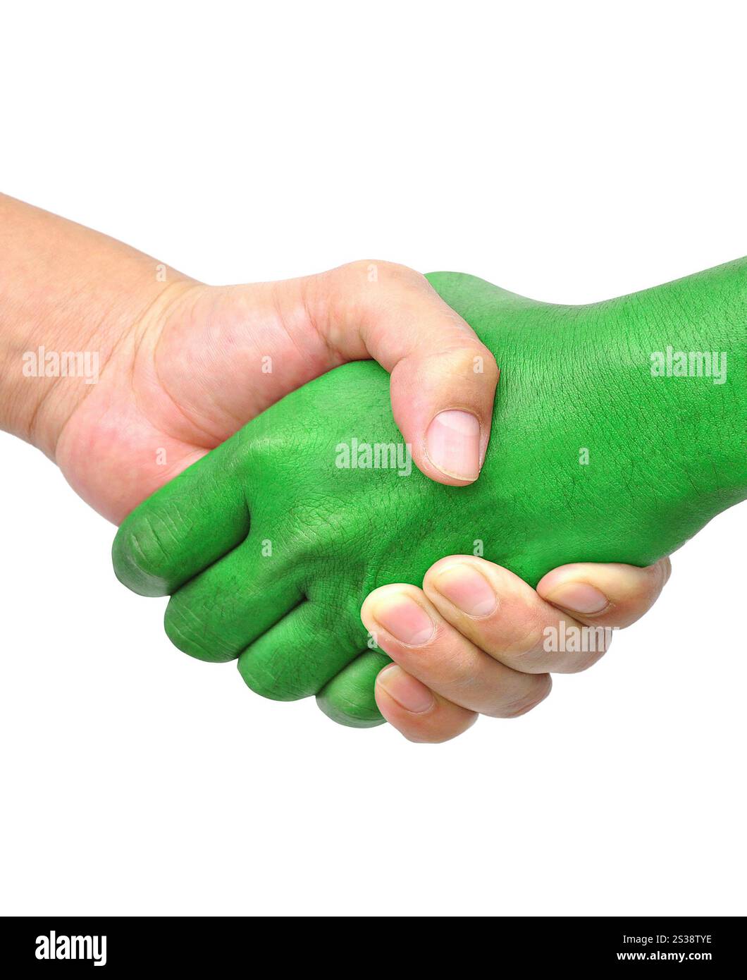 Schütteln Sie die Hände isoliert auf weißem Hintergrund. Schütteln Sie die Hände isoliert Stockfoto