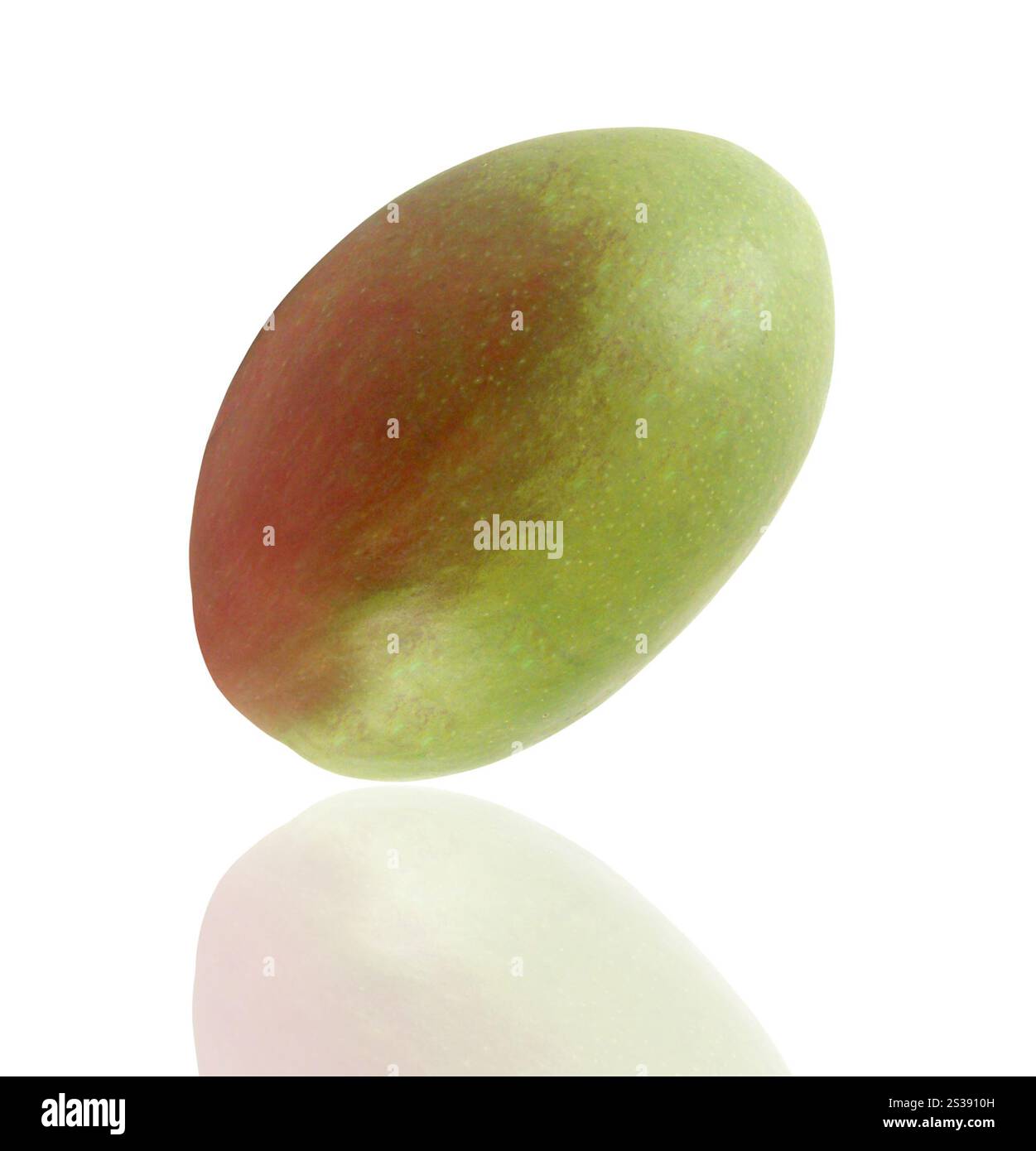 Mango Obst isoliert auf weiss Stockfoto