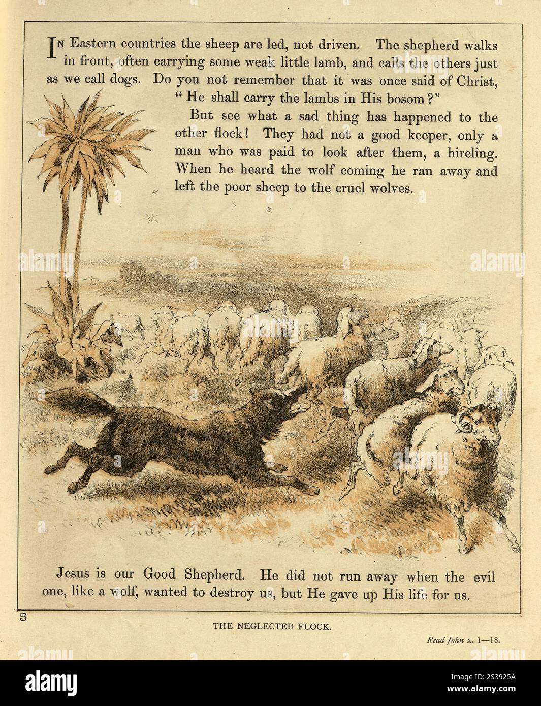 Die vernachlässigte Herde, Wolf jagt Schafe, Johannes X1-18, Bibel, religiöse Illustration, viktorianisches 19. Jahrhundert Stockfoto Die vernachlässigte Herde, Wolf jagt Schafe, Johannes X1-18, Bibel, religiöse Illustration, viktorianisches 19. Jahrhundert Stockfoto