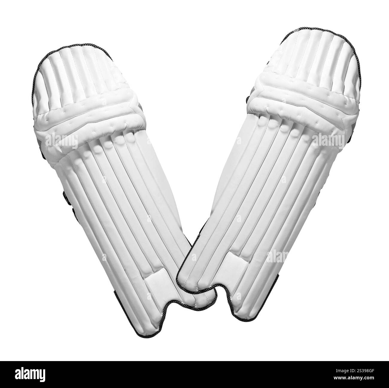 Professionelles Schutzhockey isoliert auf weißem Hintergrund. Professionelles Schutzhockey Stockfoto