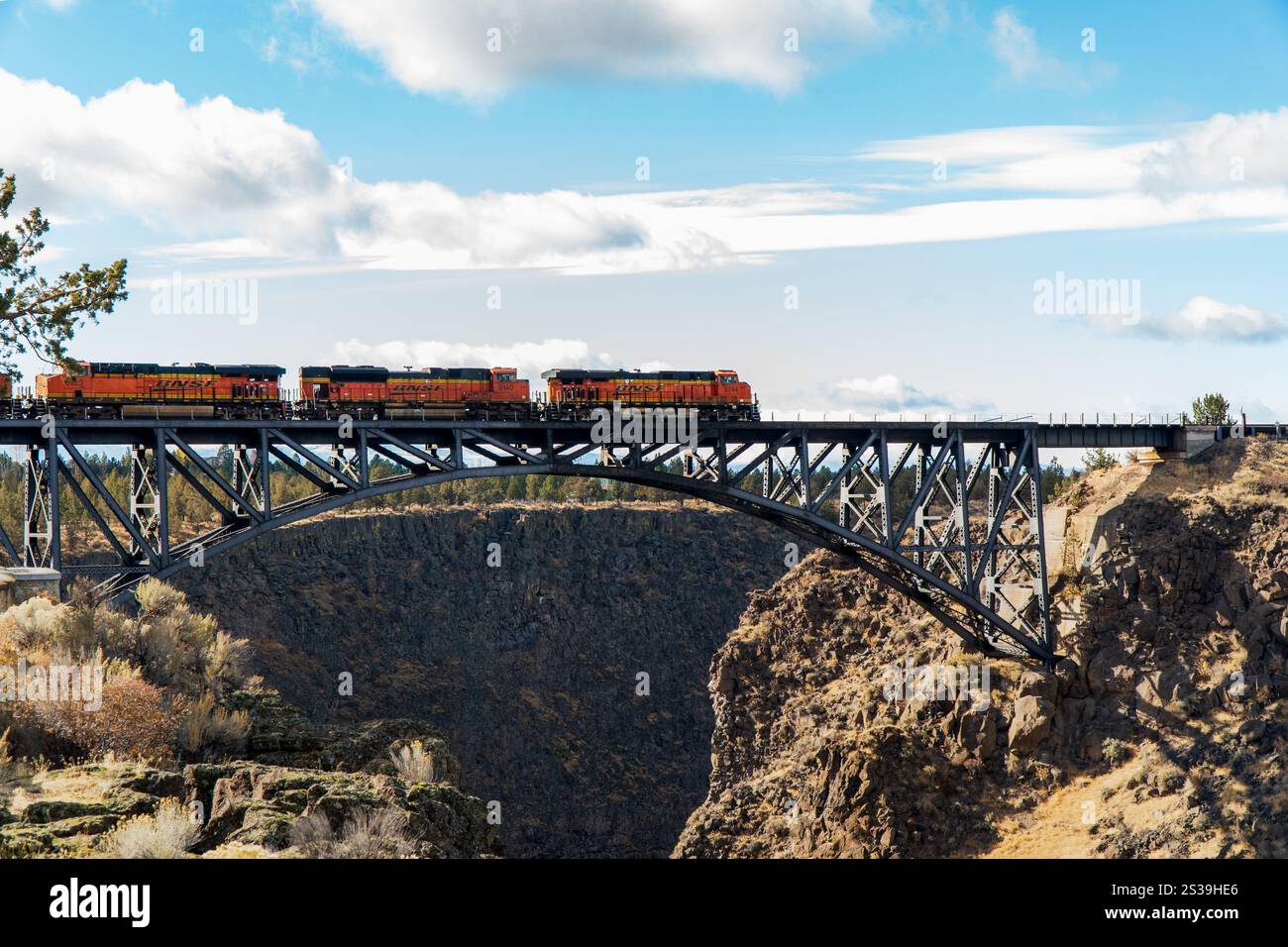 Güterzug über die Oregon Trunk Railroad Bridge, über die Crooked River Schlucht in der Nähe von Redmond, Oregon, im späten Herbst, helles Sonnenlicht. Stockfoto