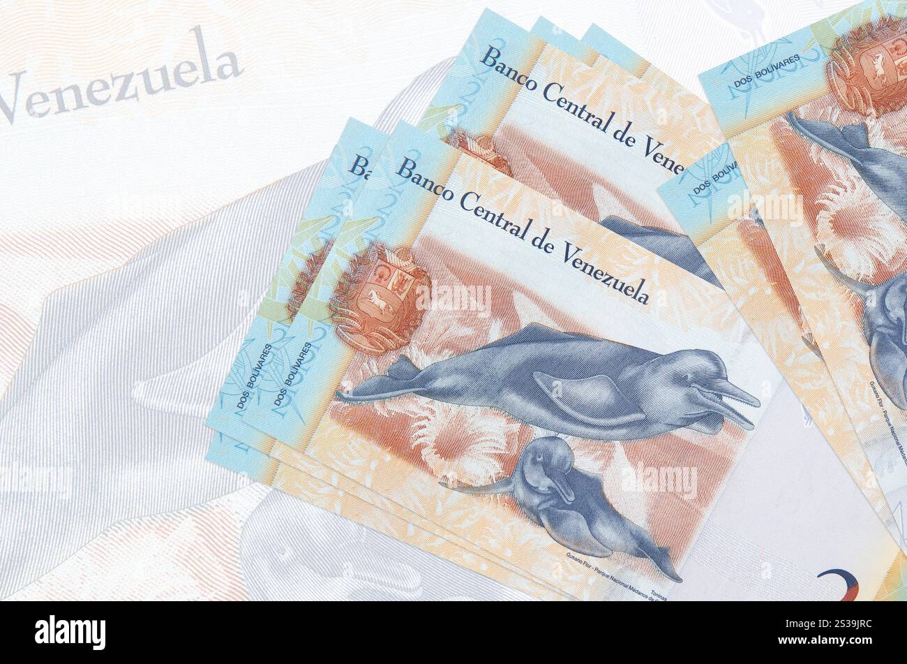 2 venezolanische bolivar-Scheine liegen im Stapel auf dem Hintergrund großer halbtransparenter Banknoten. Abstrakte Darstellung der Landeswährung. Unternehmen Stockfoto