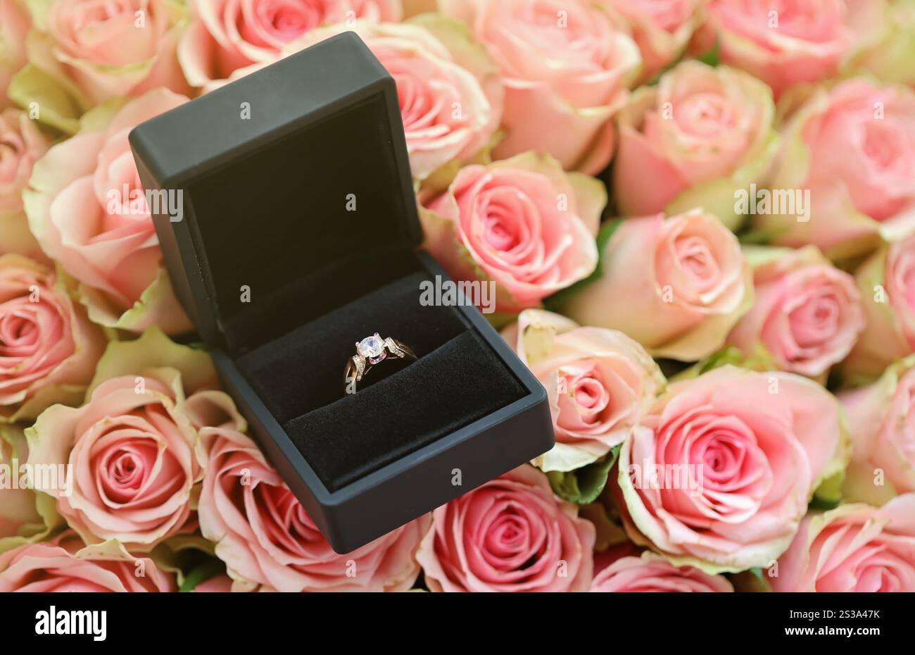 Goldener Diamant-Verlobungsring im Black Box-Gehäuse zwischen einer großen Menge Rosen im großen Blumenstrauß Nahaufnahme mit verschwommenem Hintergrund. Gold Diamant-Einsatz Stockfoto
