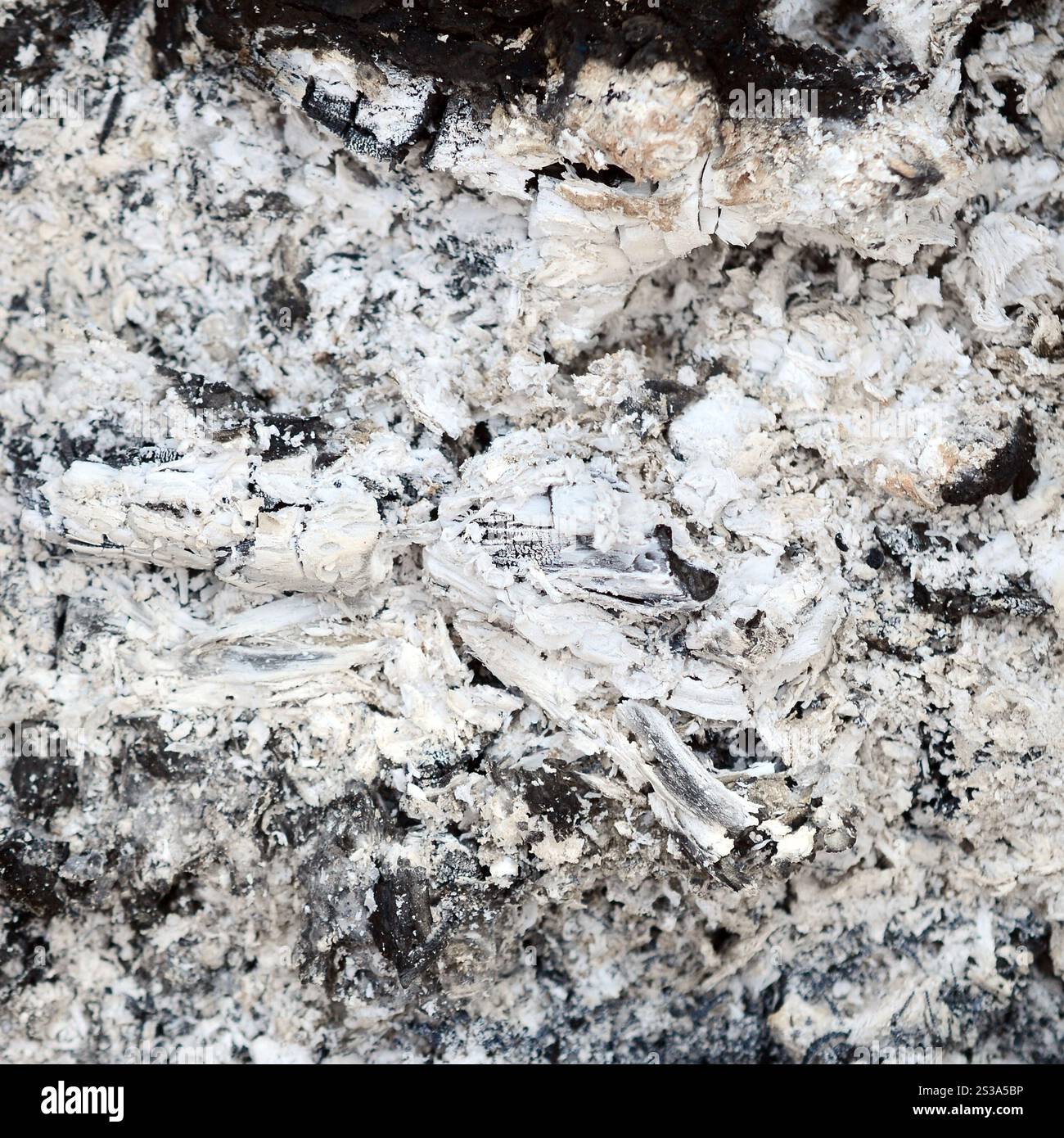 Aschenhaufen, nachdem das Feuer erloschen ist, Grunge-Hintergrund-Textur. Verbrannte Asche nahe draußen bei Tageslicht. Aschenhaufen nach dem Feuer Stockfoto