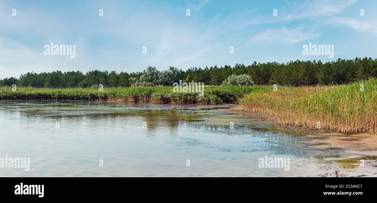 Sommer Pryschukove dunkel braun-rote Jod See mit einer therapeutischen Wirkung durch den hohen Gehalt an Jod (Kherson, Ukraine). Stockfoto