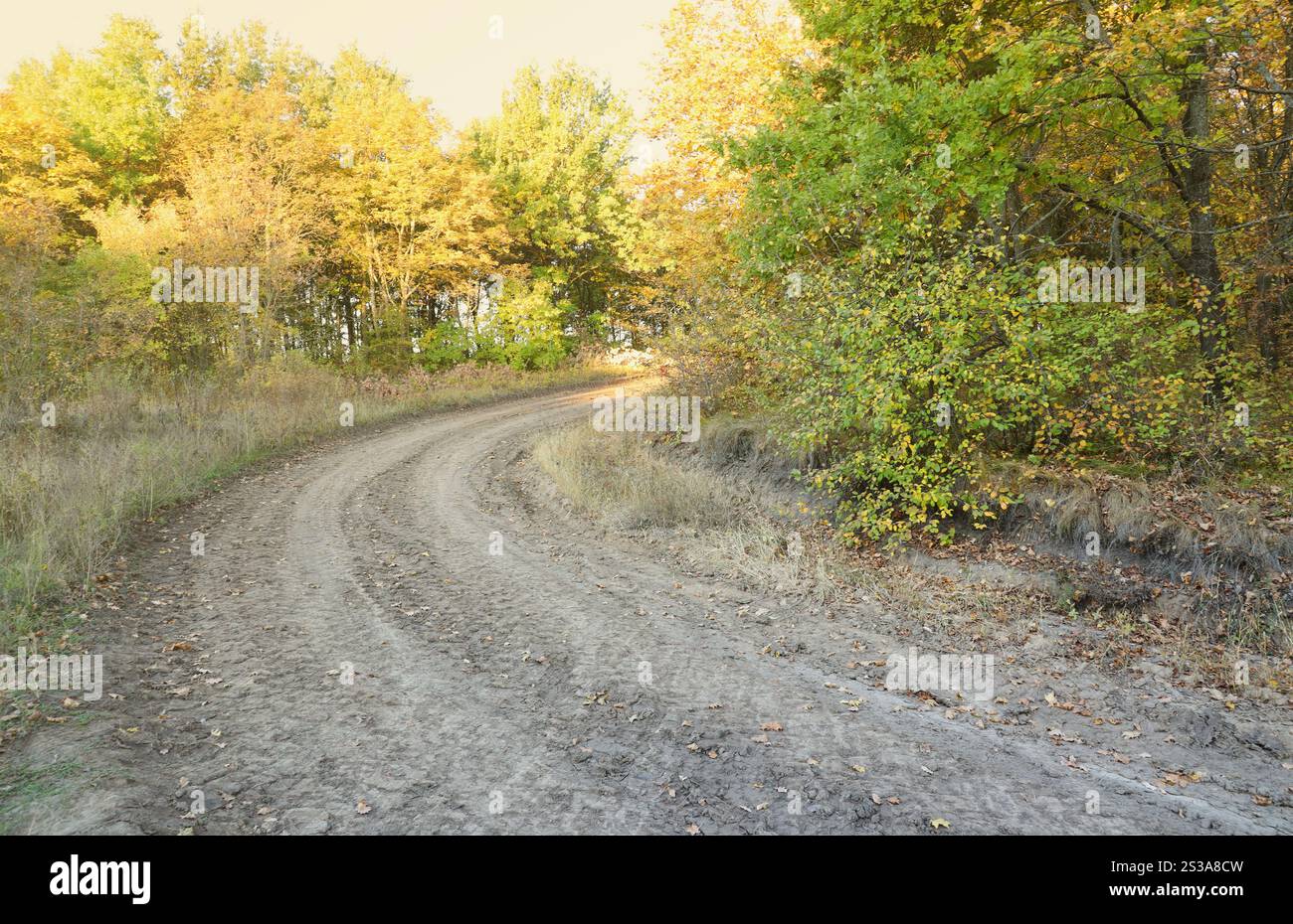 Herbstliche Landschaft mit einer gekrümmten Straße, auf der Spuren der Lauffläche großer Räder von Landmaschinen zu sehen sind. Herbstlandschaft mit einem Stockfoto