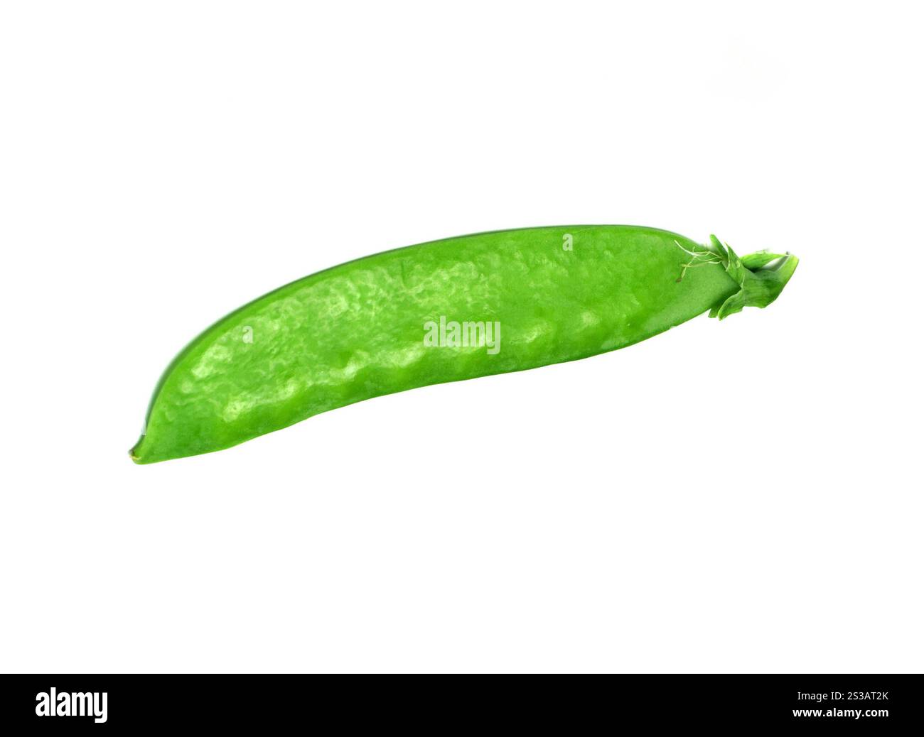Frische grüne Erbsen isoliert auf weißem Hintergrund. Studiofoto. Frische grüne Erbsen isoliert Stockfoto