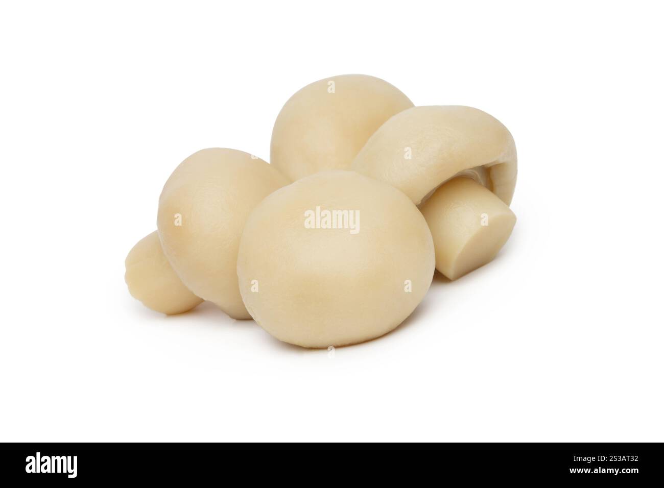 Marinierter Pilz, isoliert auf weißem Hintergrund. Marinierter Pilz isoliert auf weiß Stockfoto