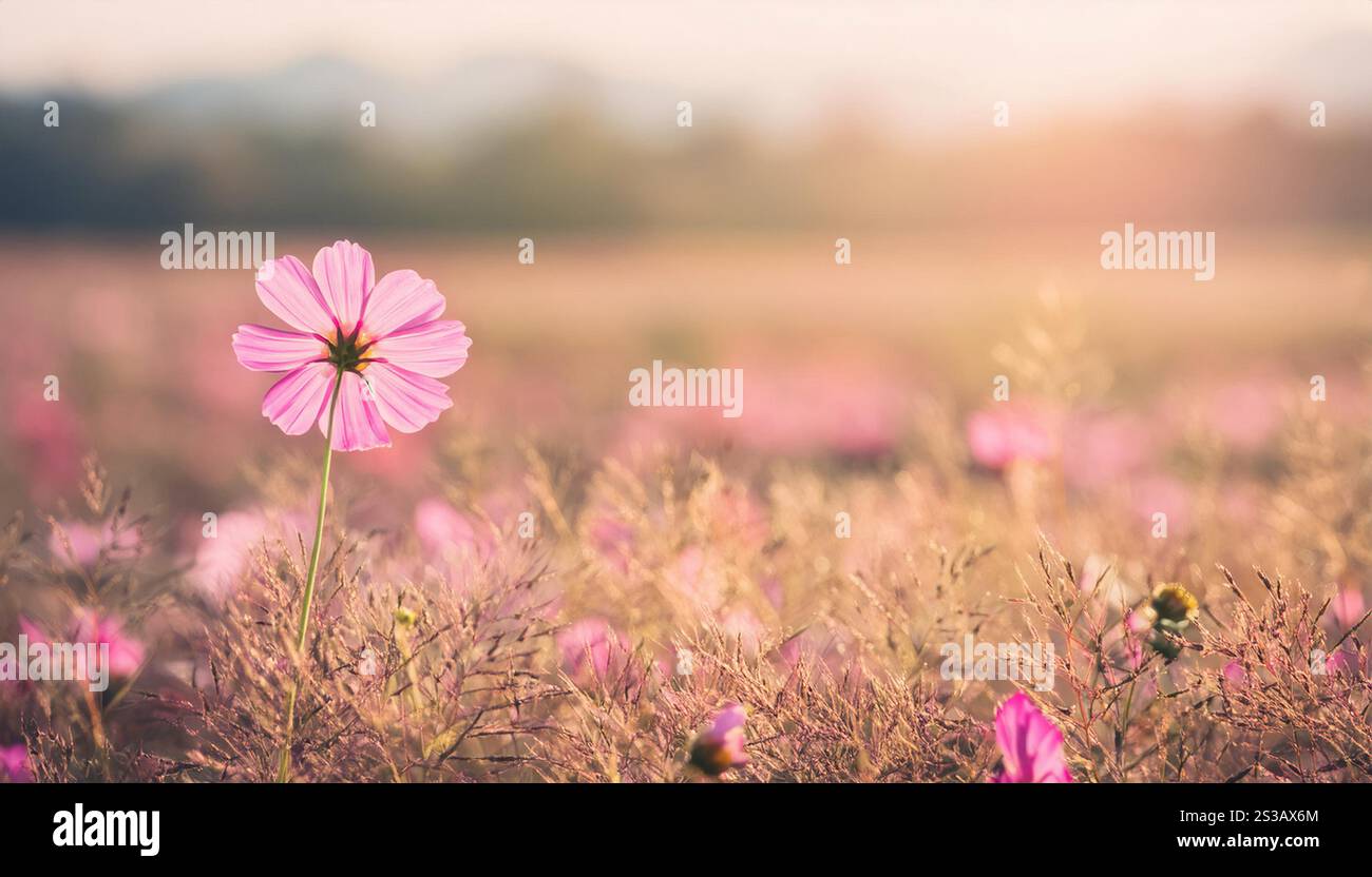 Eine rosafarbene Blume steht in der Mitte eines riesigen Feldes, umgeben von Grün. Die leuchtende Farbe der Blumen steht im Kontrast zur natürlichen Kulisse. Stockfoto