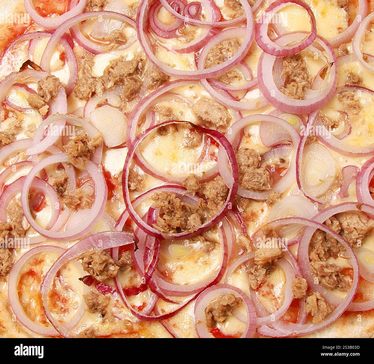 Zwiebelpizza Hintergrund Nahaufnahme. Zwiebelpizza Hintergrund Stockfoto