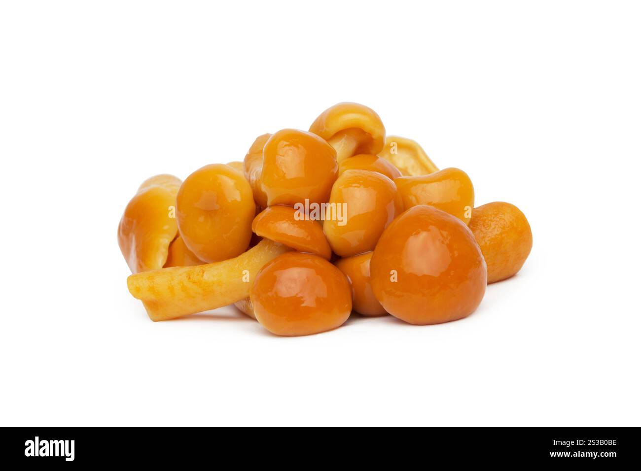 Marinierter Pilz, isoliert auf weißem Hintergrund. Marinierter Pilz isoliert auf weiß Stockfoto