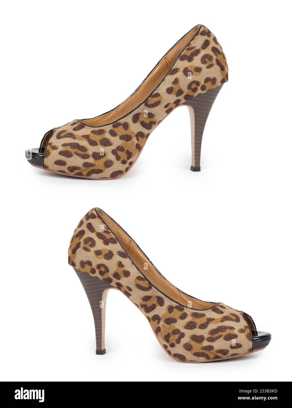 Damenschuhe Leopard auf weißem Hintergrund. Damenschuhe Leopard Stockfoto