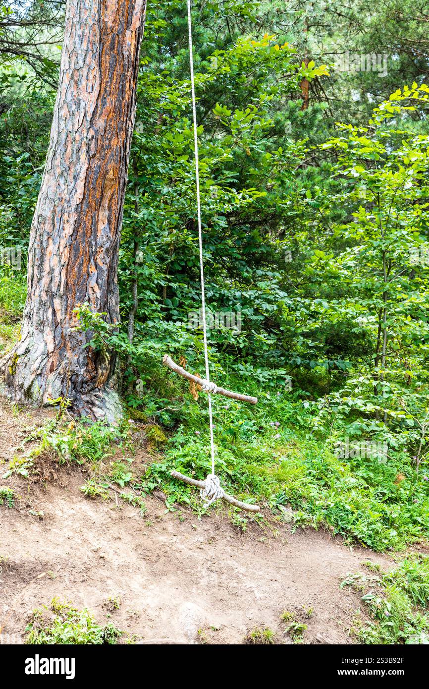 Bungee-Schaukeln auf Kiefern im Bergwald am Transcaucasian Trail im Dilijan-Nationalpark an Sommertagen Stockfoto