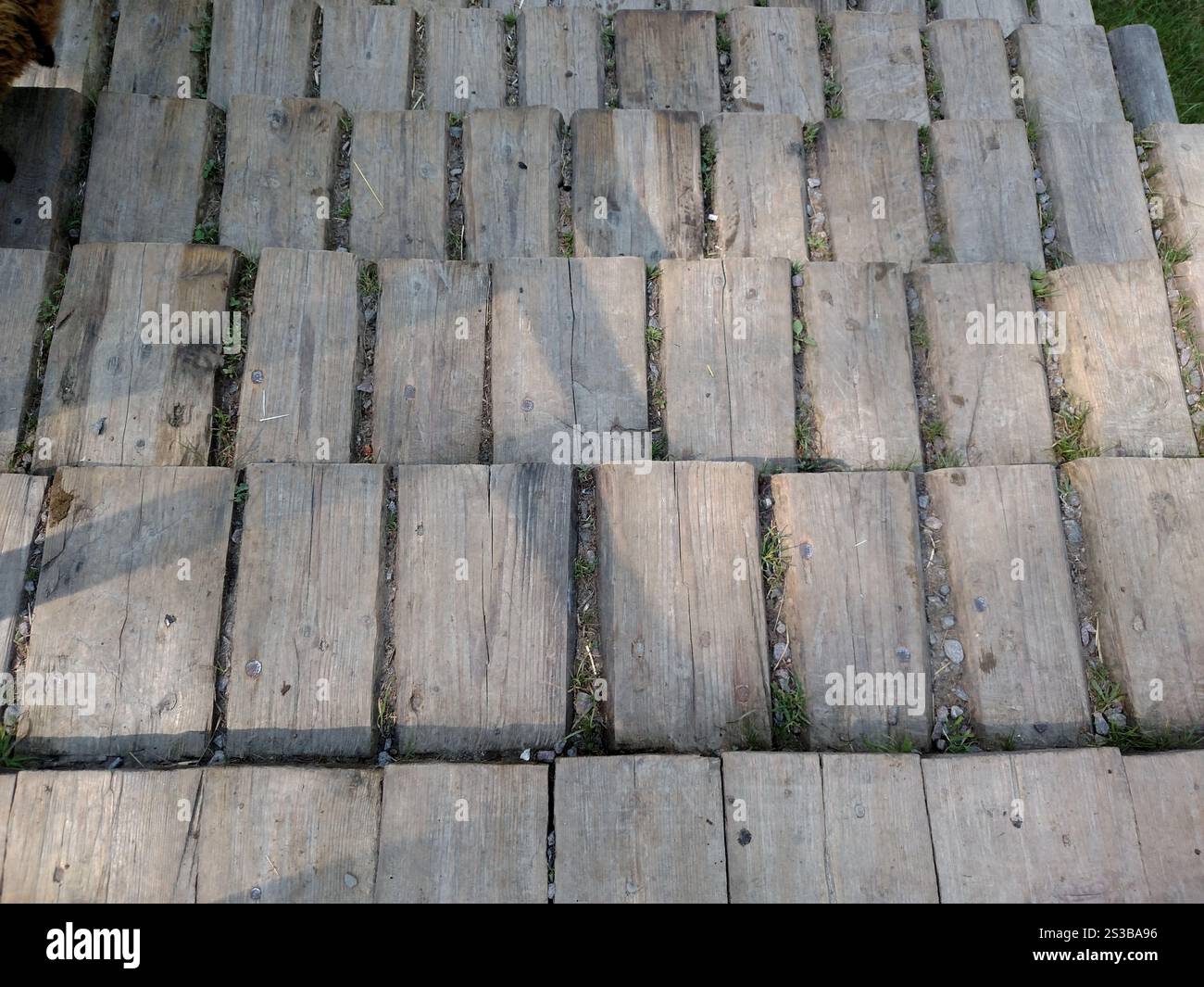 Fliese aus Holz für Dach Holzschindeln Hintergrund horizontal Stockfoto