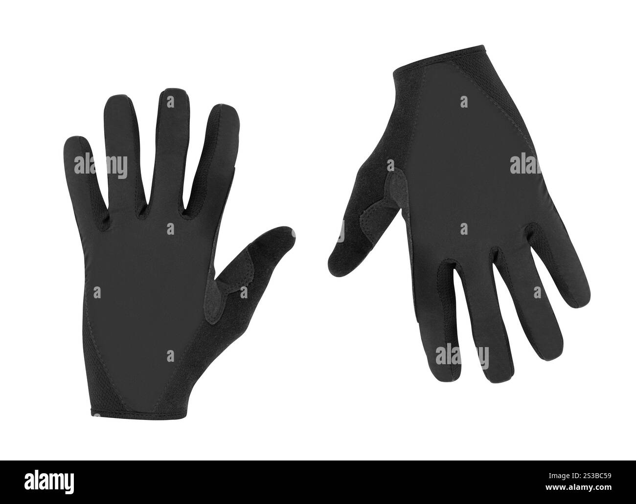 Sporthandschuh auf weißem Hintergrund. Sporthandschuh Stockfoto