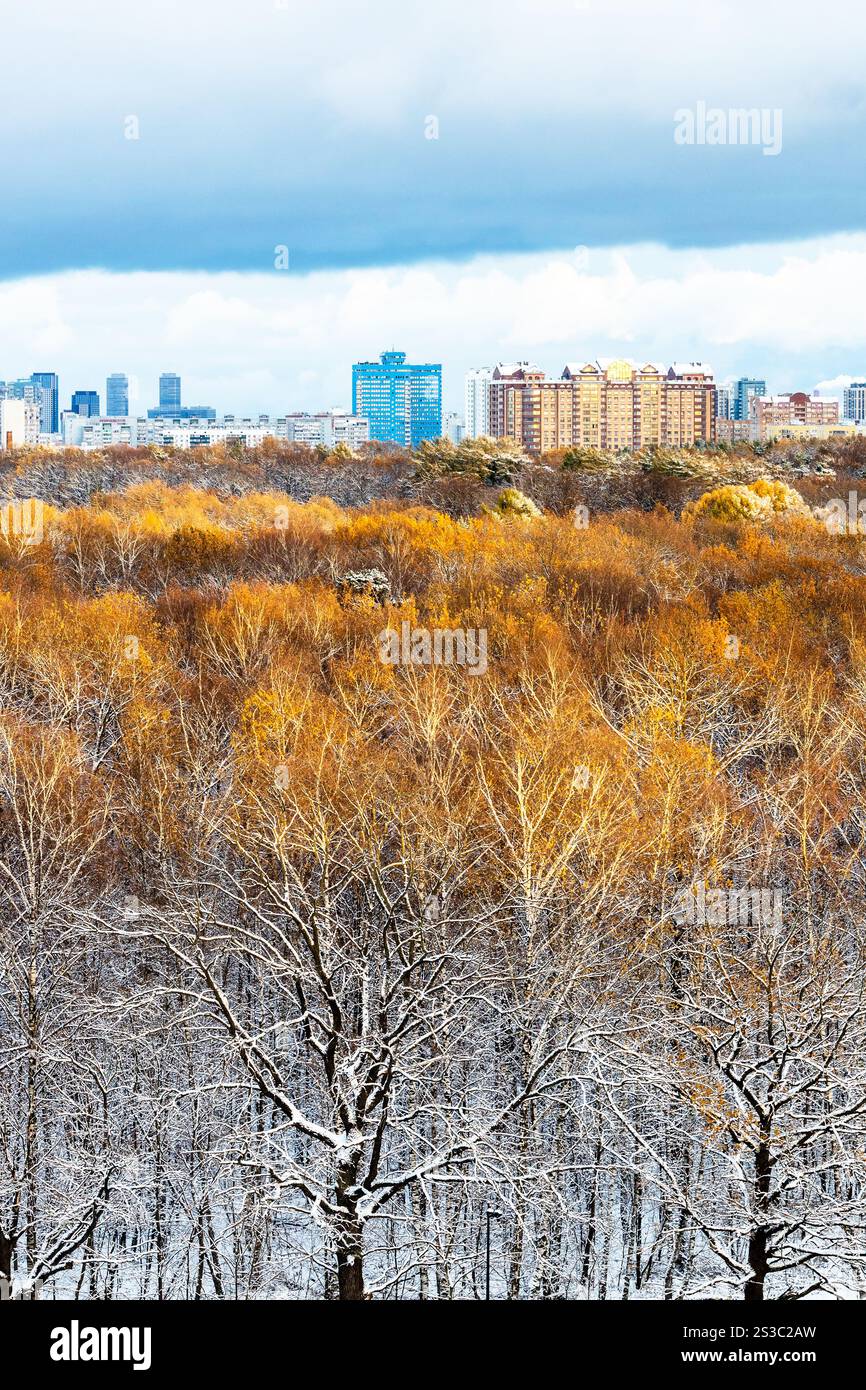 Sonnendurchflutete Baumkronen im Stadtpark nach dem ersten Schnee an bewölktem Herbstabend Stockfoto