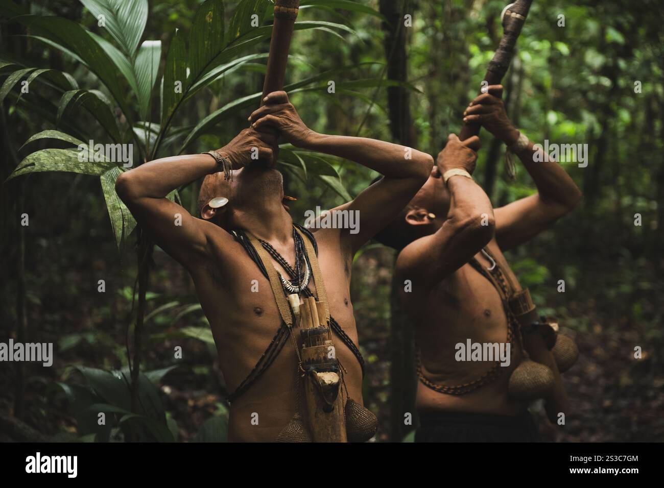 Zwei Matis jagen Affen im Amazonaswald mit Blaspistolen Stockfoto