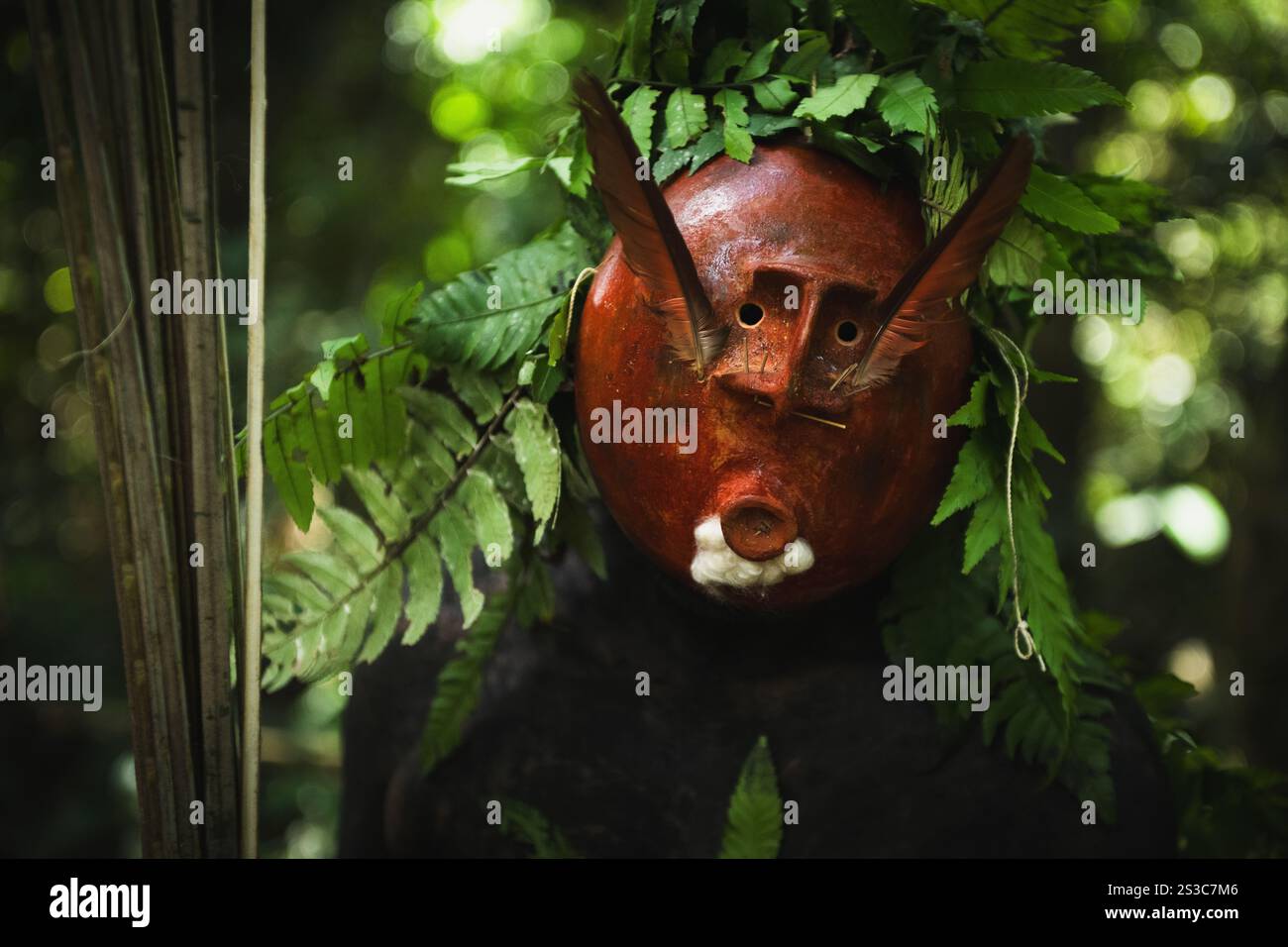 Ein Matis-indianer, der eine Mariwin-Maske trägt Stockfoto