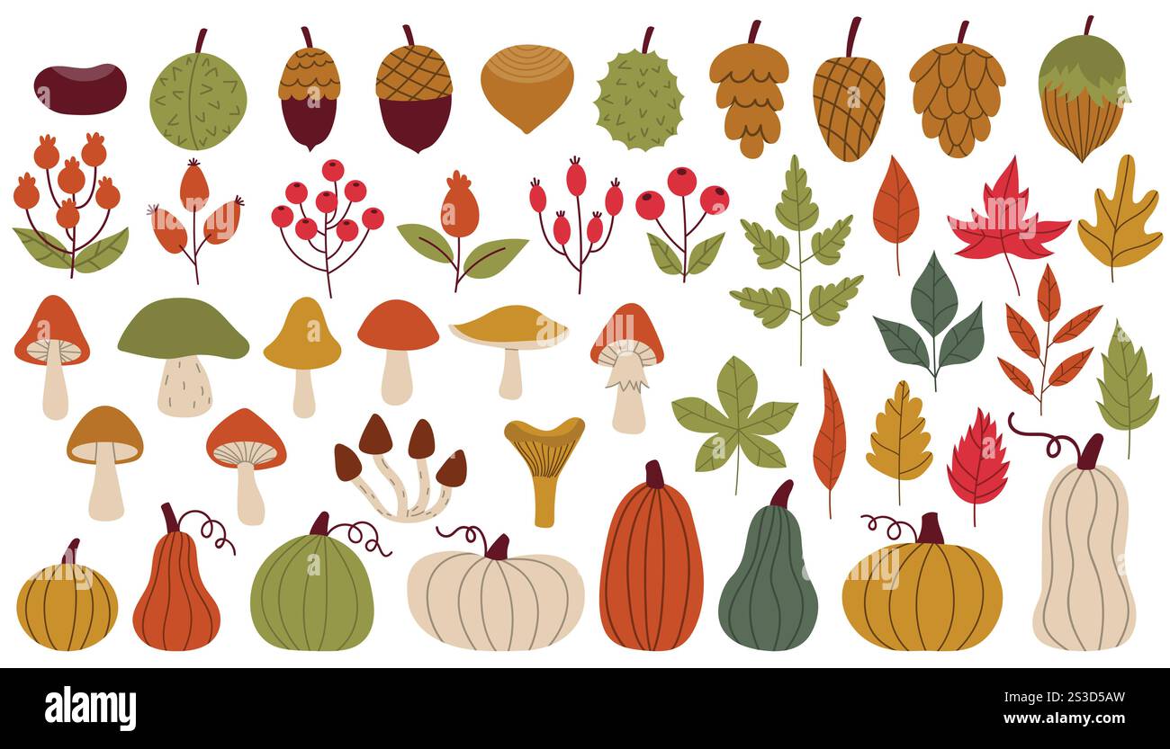 Großes Set aus Comic-Designelementen im Herbst im flachen Stil. Nüsse und Kegel, Pilze und Beeren, Kürbisse und Blätter. Ernte im Herbst sammeln. Stock Vektor