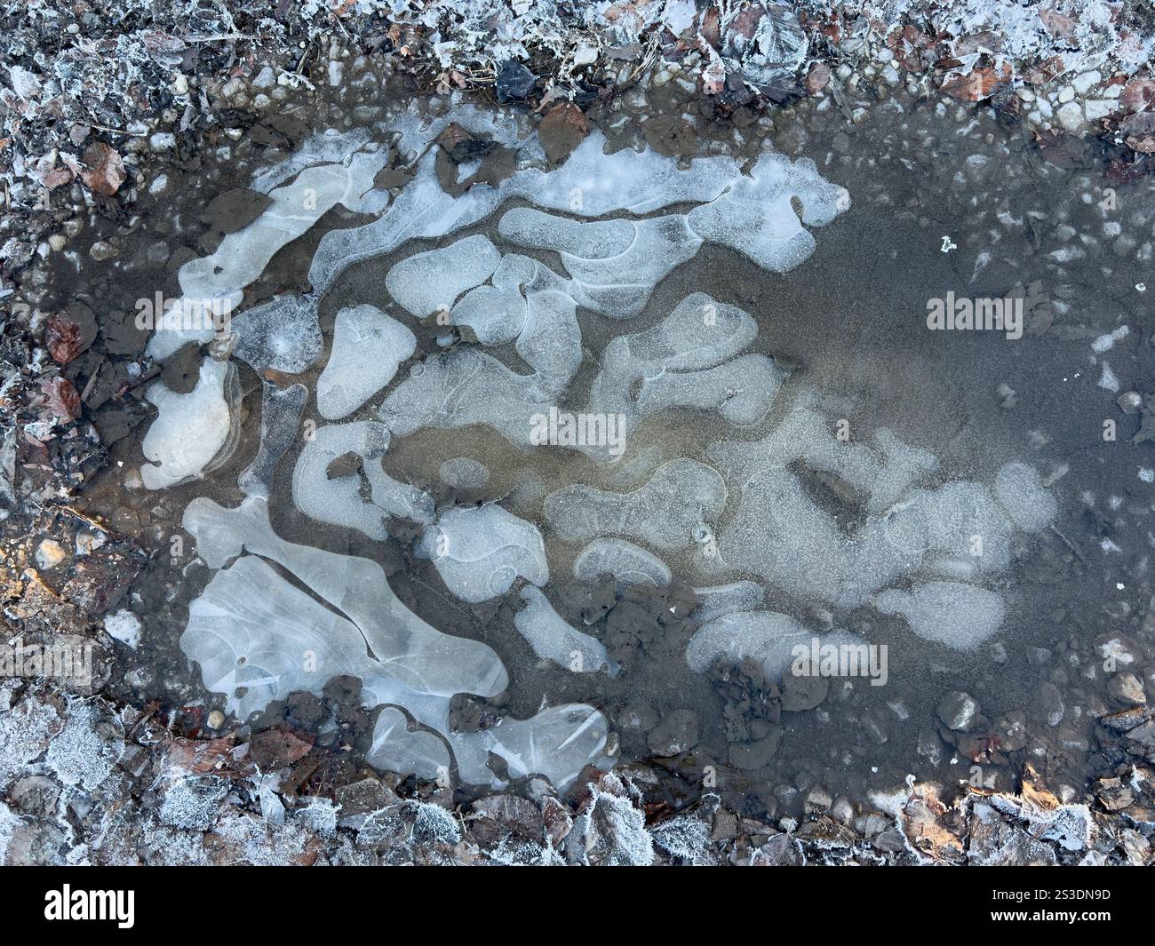 Winterwetter - eine gefrorene Wasserpfütze auf einem Bauernhof. Stockfoto