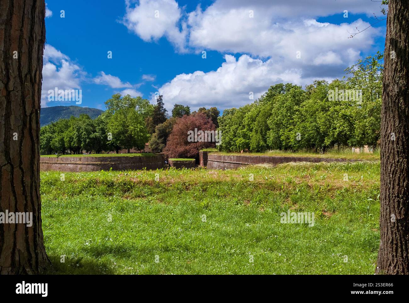 Grüne Stadt. Lucca schöne alte Mauern öffentlicher Park Stockfoto