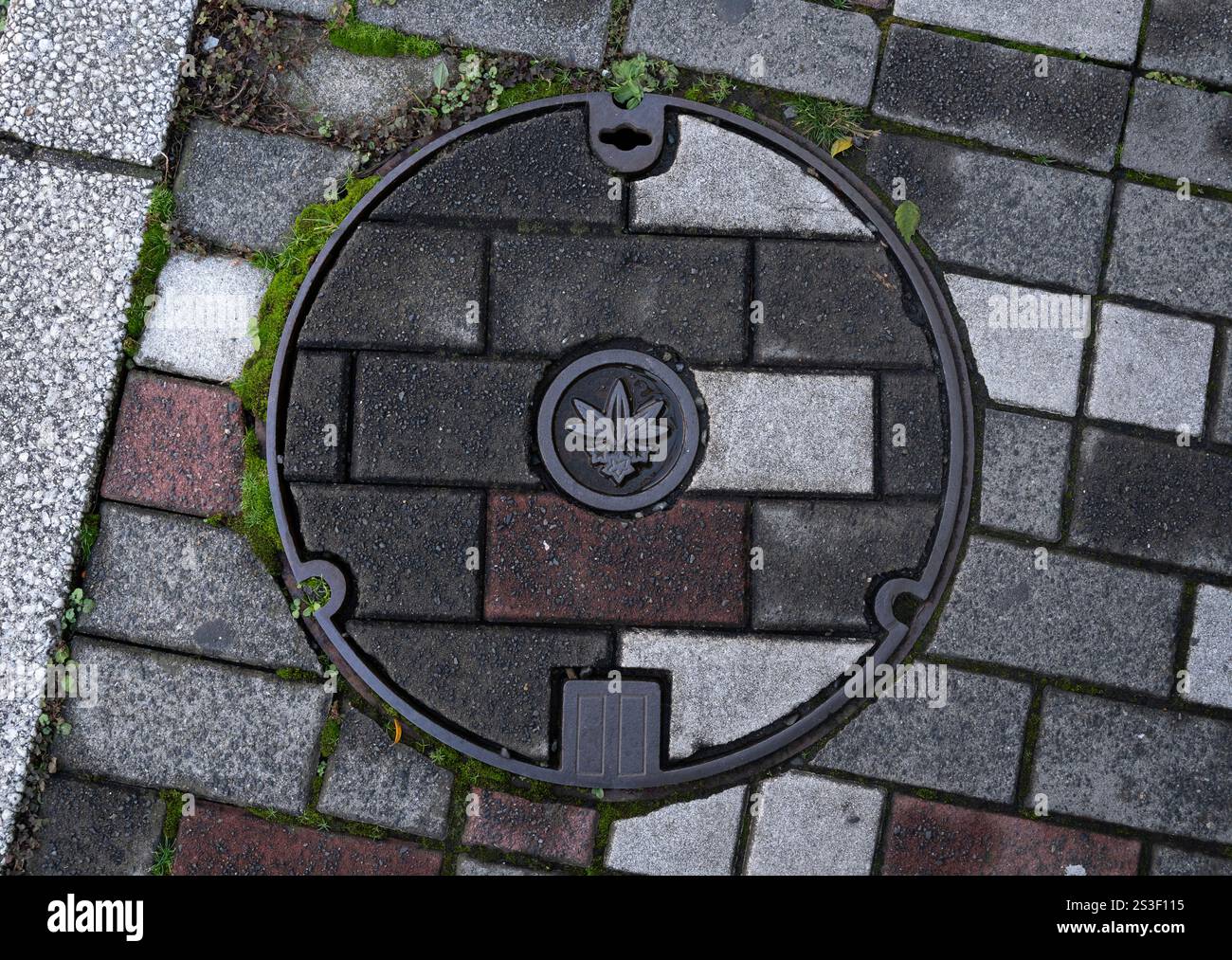 Wasserschlampe mit Muster in Kamakura, Japan. Kamakura liegt in der Präfektur Kanagawa, Japan. Stockfoto