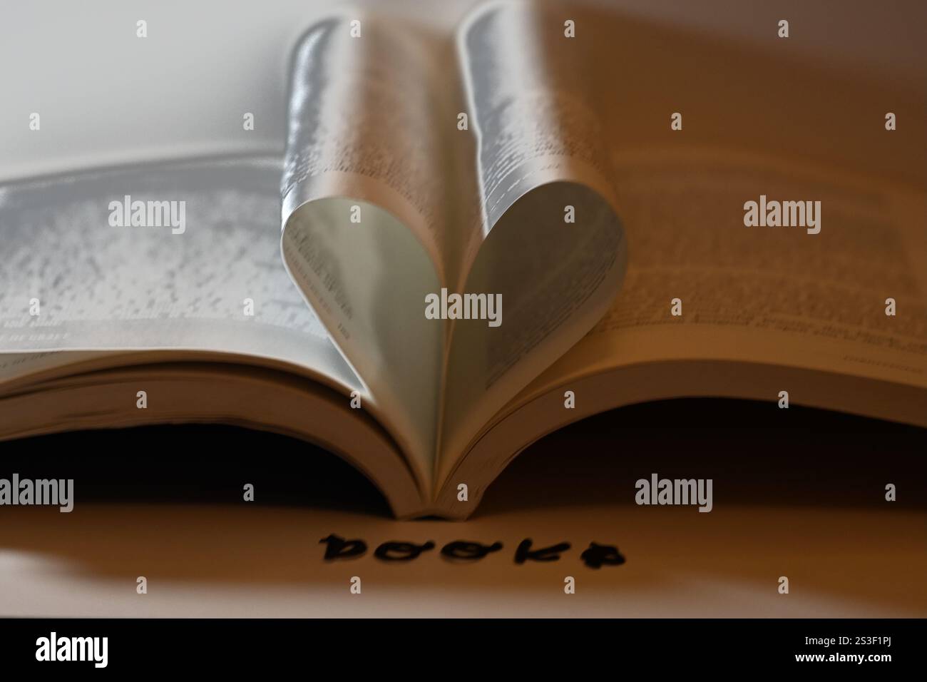 Buch-Liebhaber-Konzept, Lesen und die Liebe zum Buch-Konzept Stockfoto