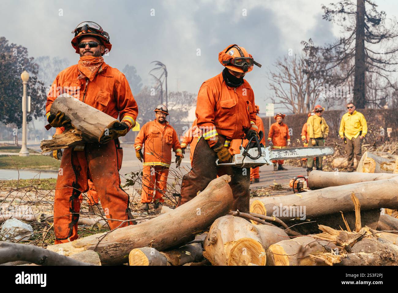 Häftlinge aus der Justizbehörde von Owens Valley entfernen einen umgefallenen Baum in den Pacific Palisades. Palisades, Kalifornien, 8. Januar 2025 (Kit Karzen) Credit: Kit Karzen/Alamy Live News Stockfoto