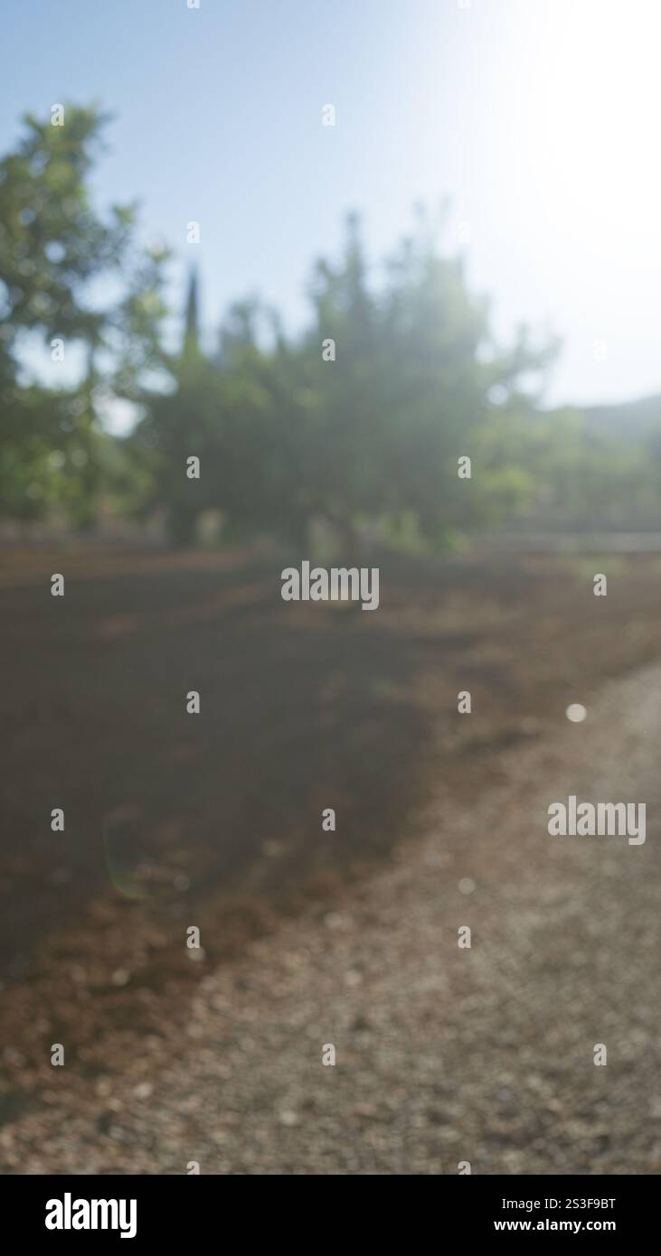 Verschwommener, unscharfer Blick auf eine Landschaft im Freien in palma, mallorca, der den Bokeh-Effekt von Bäumen im Hintergrund und die erdige Textur von unterstreicht Stockfoto