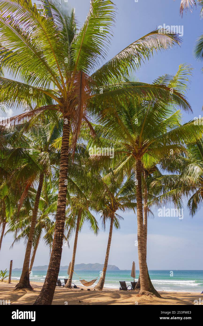 Malerischer tropischer Strand mit Palmen, Hängematte, Palawan. Idyllisches Resort auf den Philippinen. Leeres Resort mit Liegestühlen. Urlaub am Meer. Stockfoto