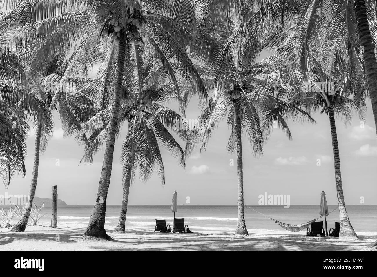 Malerischer tropischer Strand mit Palmen und Hängematte, monochrome. Idyllisches Resort im Hintergrund, schwarz-weiß. Urlaub am Meer. Reisen und entspannen. Stockfoto