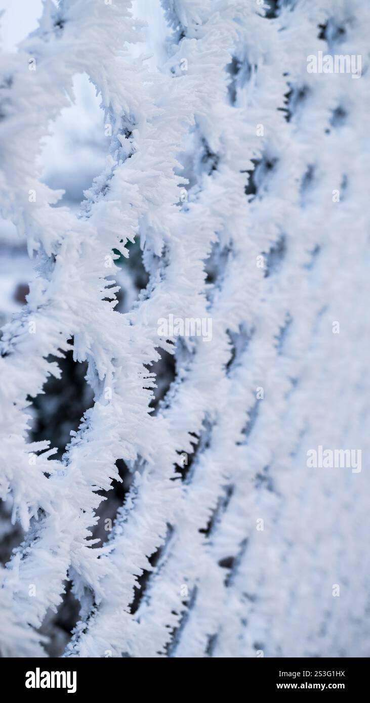 Frostbedeckter Zaun an einem Wintertag Stockfoto