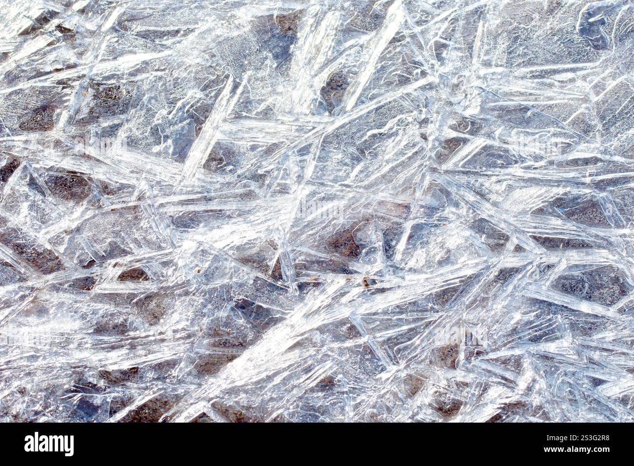 Nahaufnahme eines Eisblattes, das eine flache Pfütze bedeckt, die Oberfläche zerrissen und gebrochen ist, während sie schmilzt und wieder und wieder gefriert. Stockfoto
