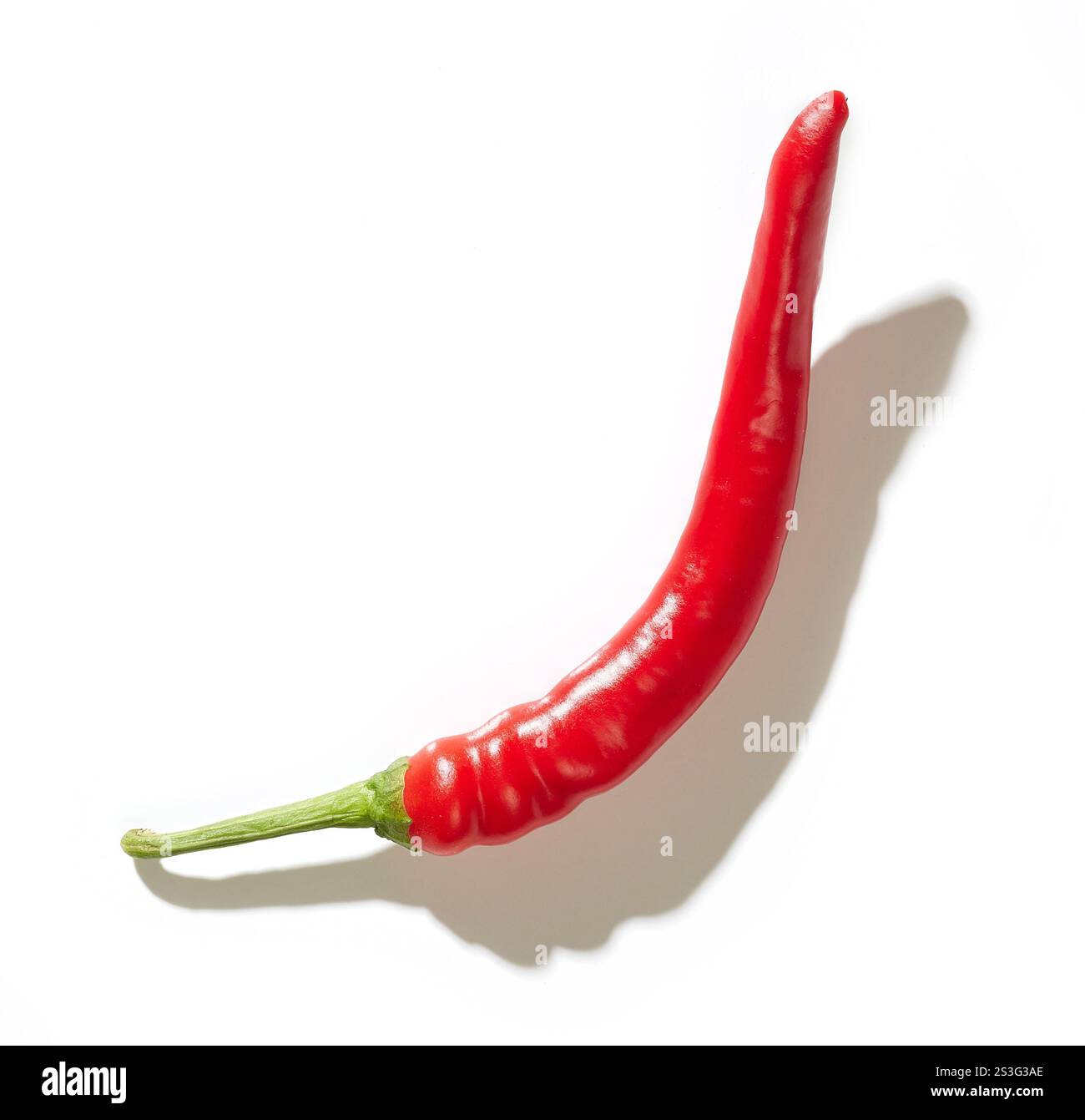 Einzelne Chilischote isoliert auf weißem Hintergrund. Chili-Pfeffer im Ganzen Stockfoto