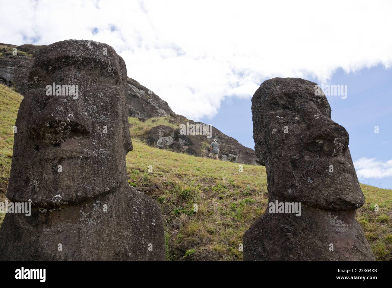 Moai (monolithische Statuen) in Rano Raraku, dem Steinbruch, in dem die meisten auf der Osterinsel gemeißelt wurden. Stockfoto