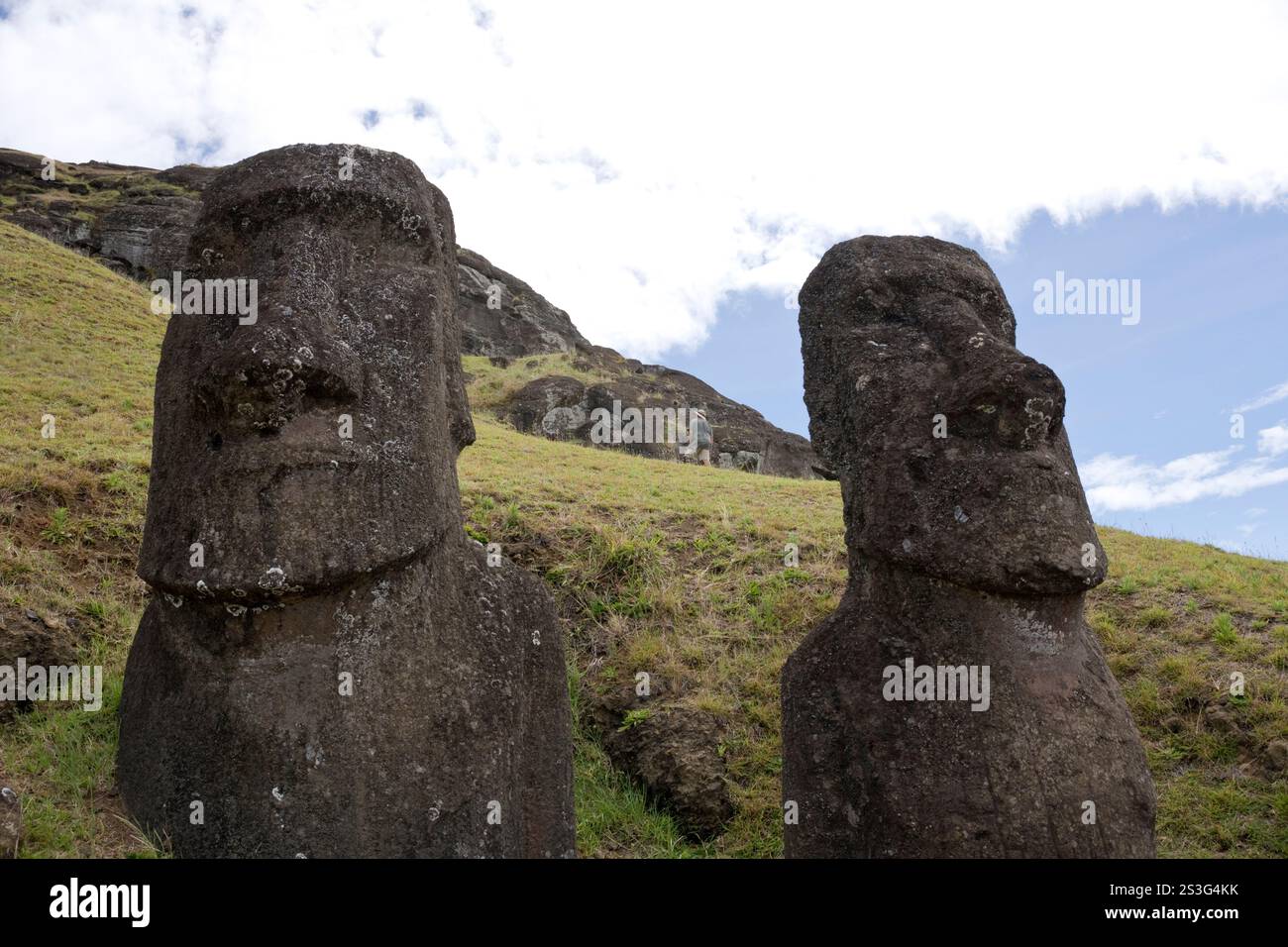 Moai (monolithische Statuen) in Rano Raraku, dem Steinbruch, in dem die meisten auf der Osterinsel gemeißelt wurden. Stockfoto