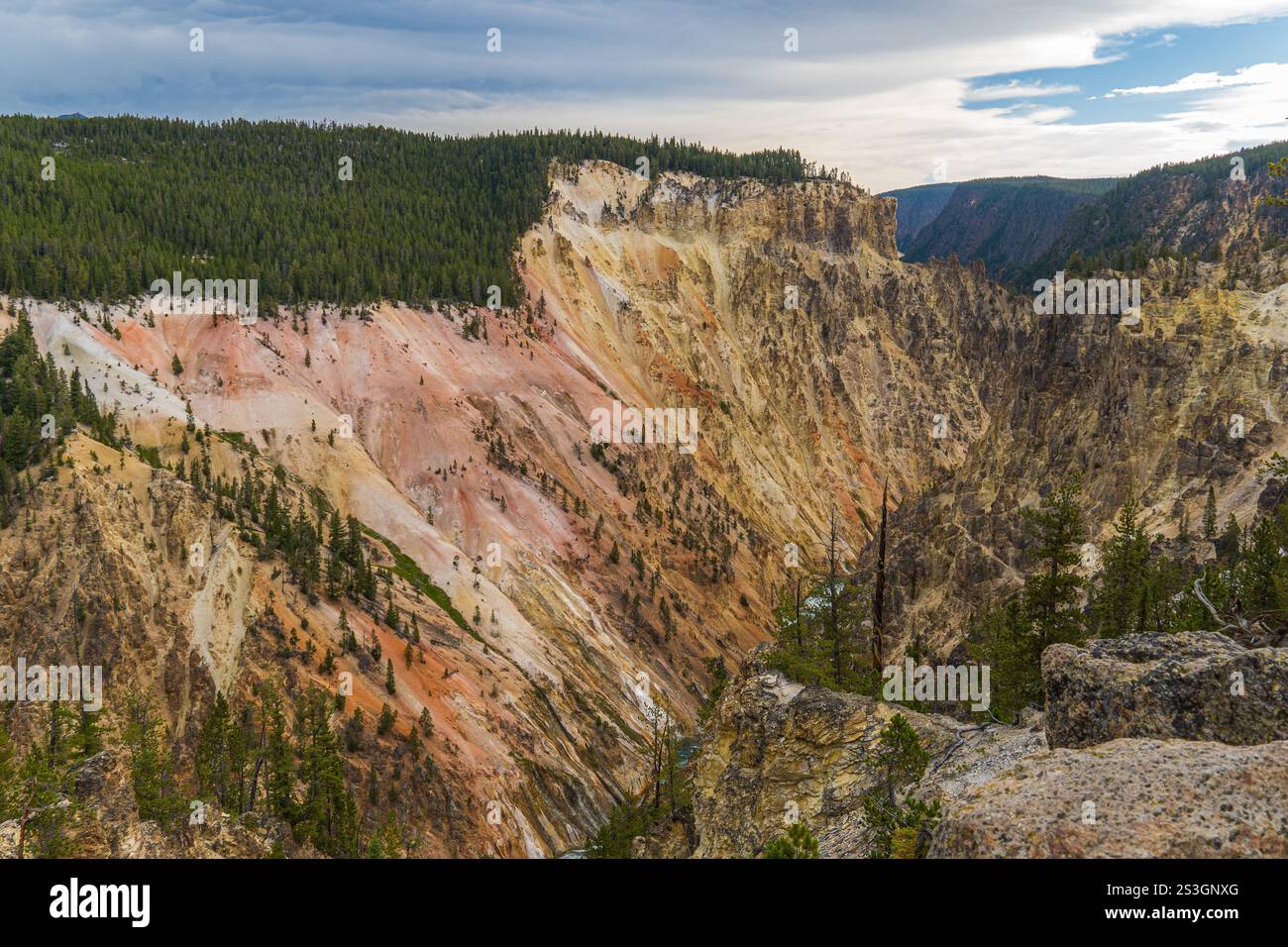 Panoramablick auf den Grand Canyon des Yellowstone vom Artist Point aus gesehen auf den Südrand Stockfoto