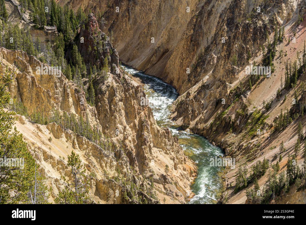 Nahaufnahme des Grand Canyon des Yellowstone und des Flusses vom Rand des Nordrandes aus gesehen Stockfoto