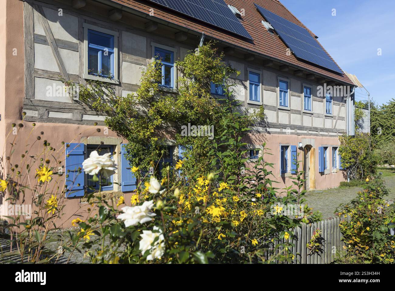 Historische Entwicklung in Altriesa mit Bauernhäusern, Riesa, Sachsen, Deutschland, Europa Stockfoto