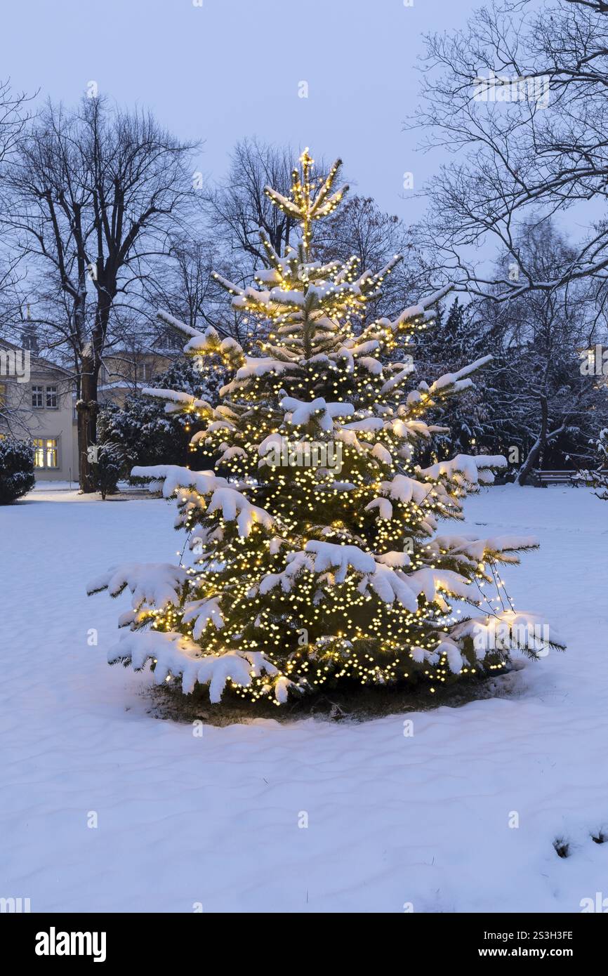 Weihnachtsbaum im schnee -Fotos und -Bildmaterial in hoher Auflösung – Alamy