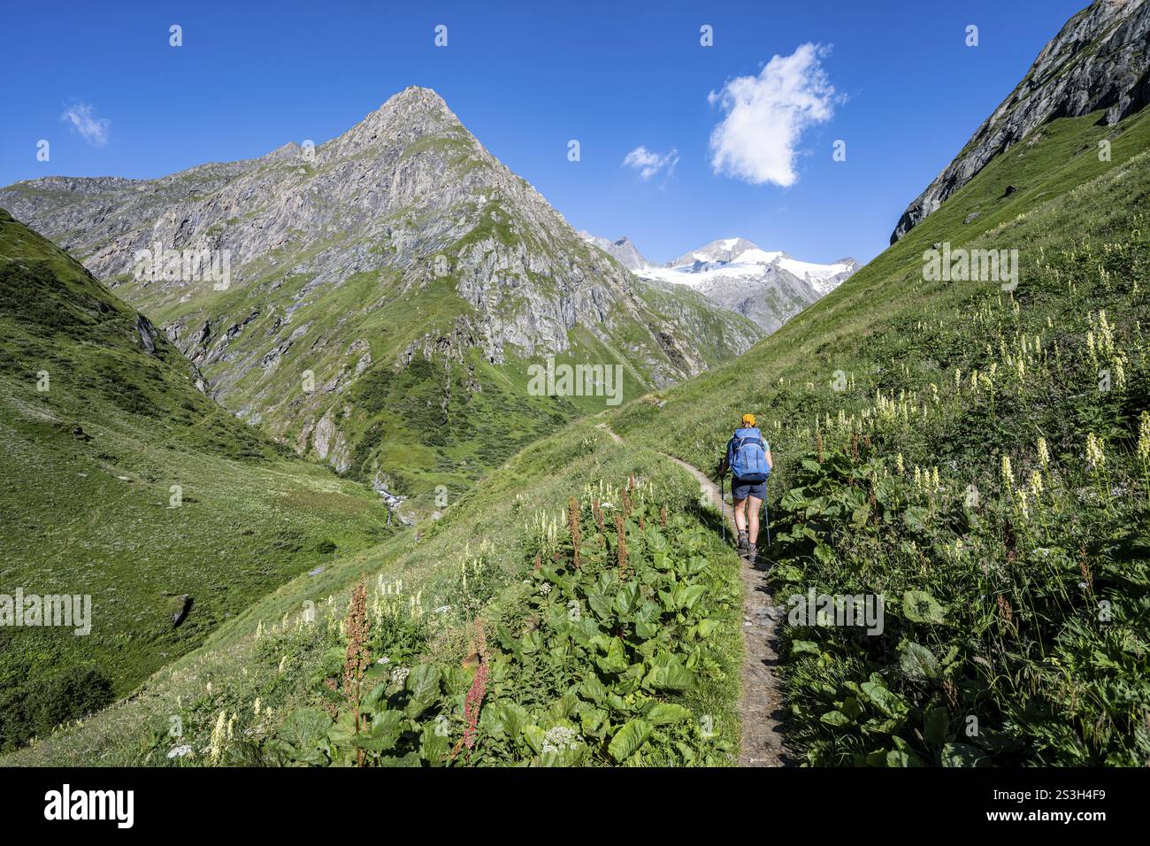Wanderer auf Wanderweg, hinter Grossen Schober und Roetspitze, Isel, Umbaltal, Nationalpark hohe Tauern, Osttirol, Tirol, Österreich, Europa Stockfoto