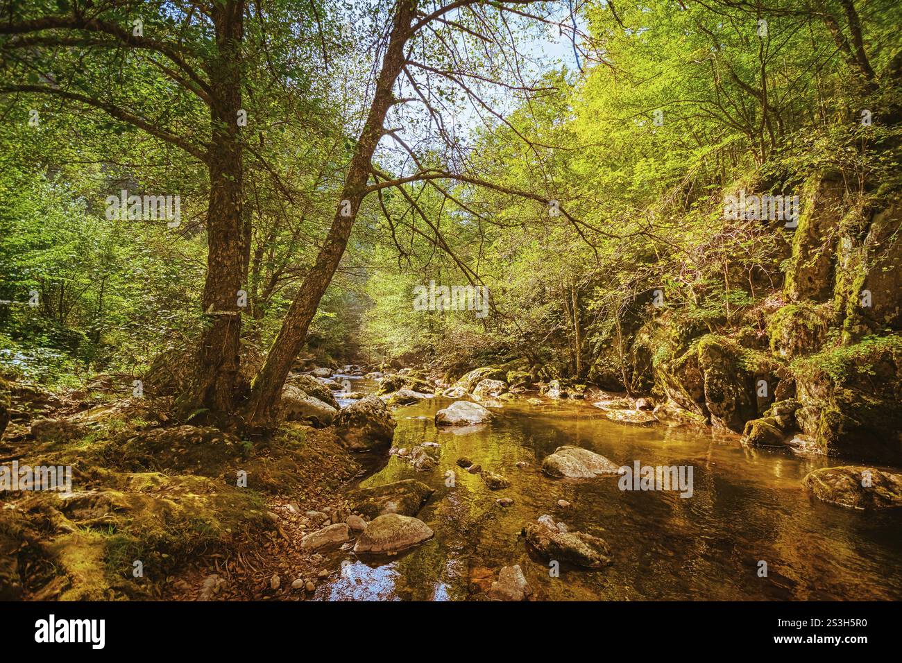 Das Tal des Flusses Devin im westlichen Rhodopes Struilitsa, Bulgarien, Europa Stockfoto