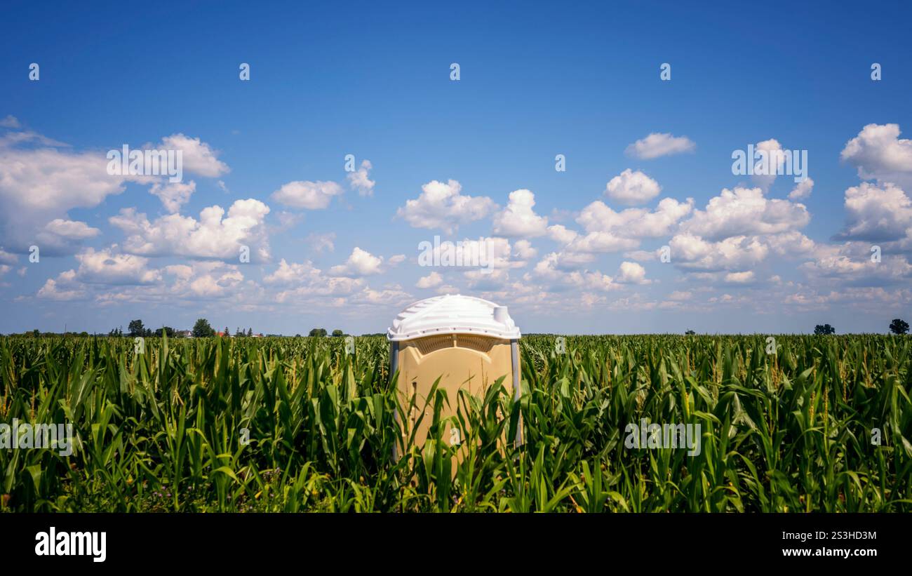 Porta Potty sitzt humorvoll inmitten eines Maisfeldes und verbindet menschliche Notwendigkeiten mit der Natur in einer surrealen und unerwarteten Gegenüberstellung von Funktion Stockfoto