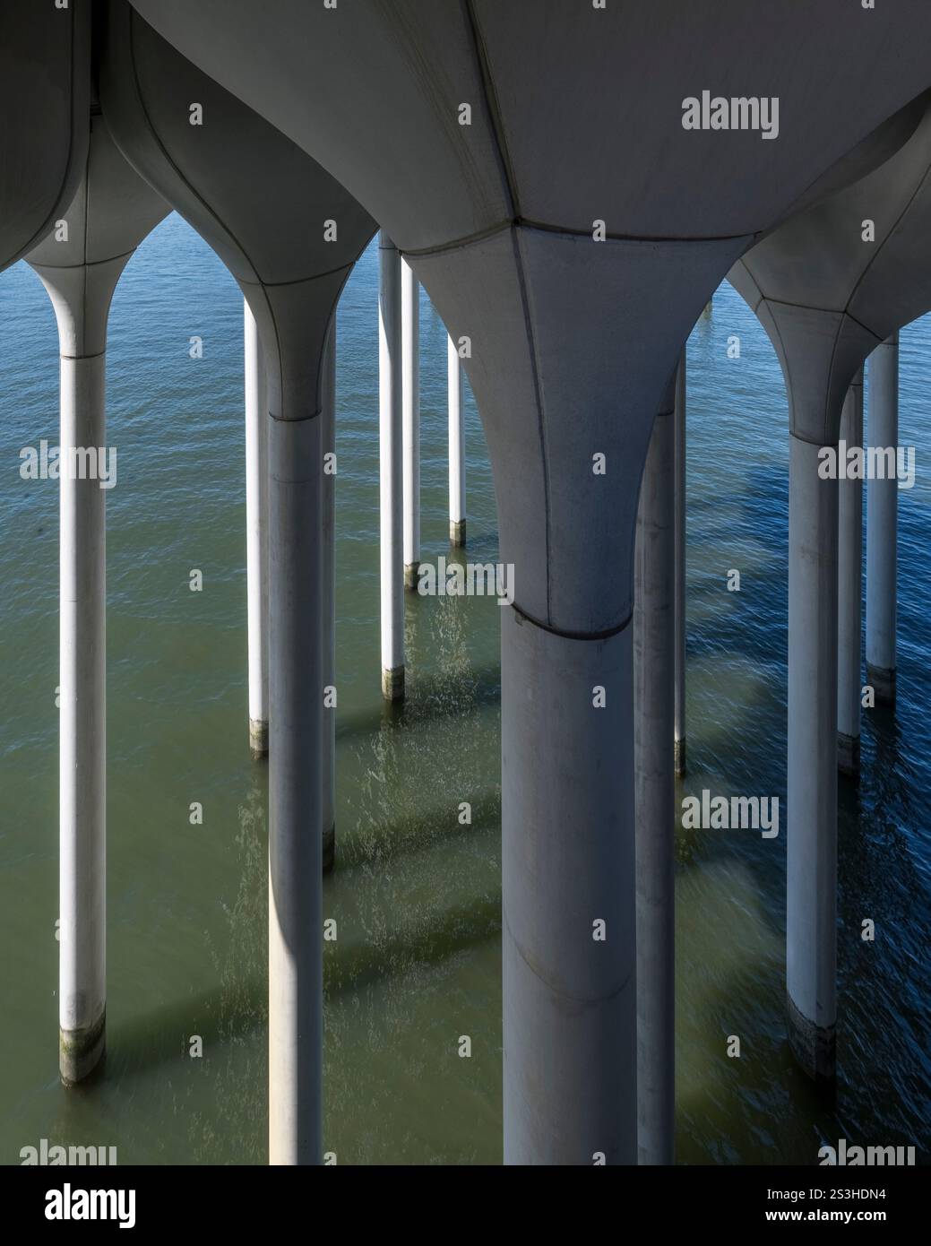 Abstrakte Ansicht von Little Island in NYC mit seinen skulpturalen Betonsäulen, die aus dem Hudson River ragen und Architektur mit Natur verbinden. Stockfoto