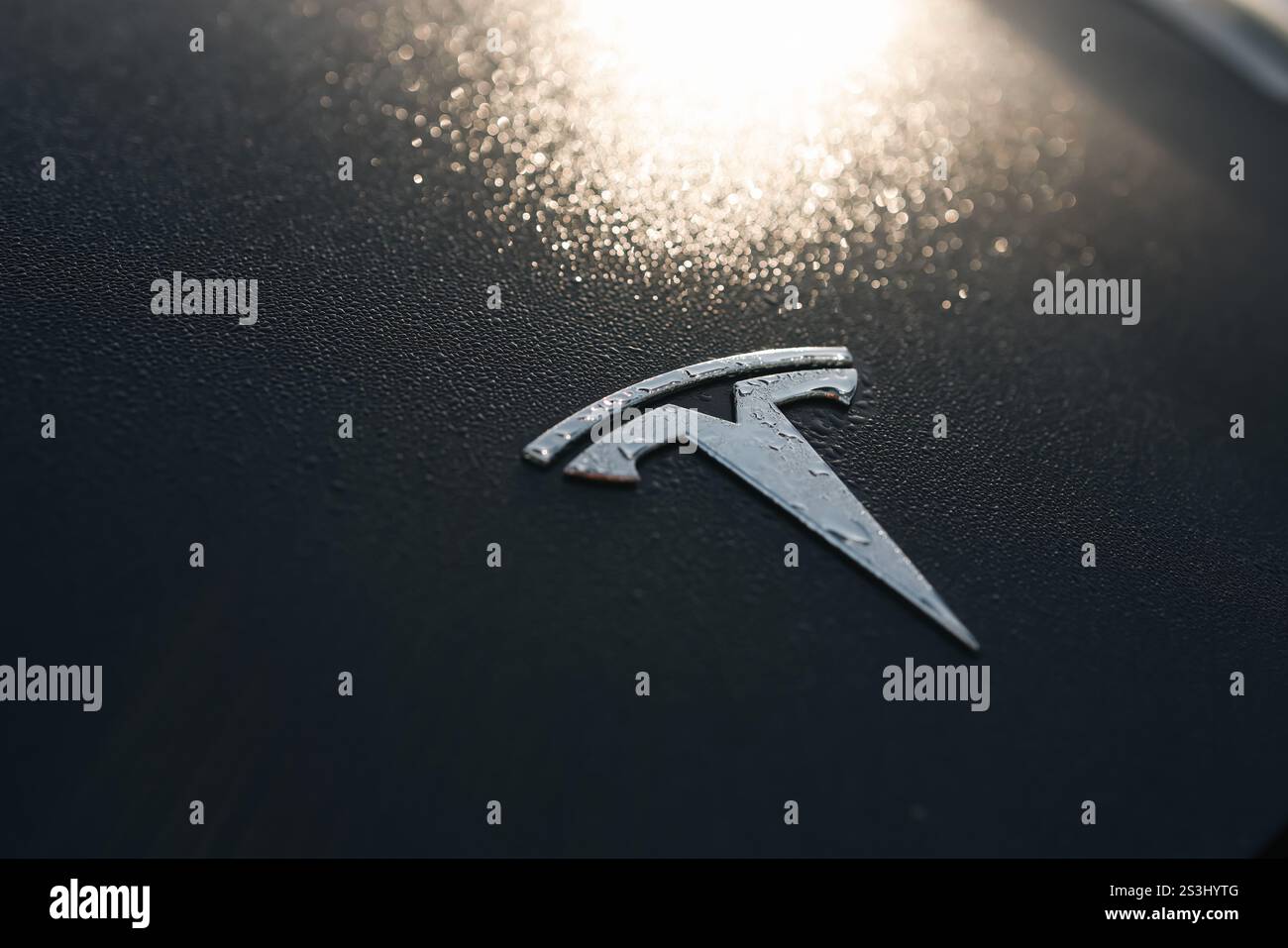 Details mit geringer Schärfentiefe (selektiver Fokus) mit dem Tesla-Logo auf der Motorhaube eines Autos an einem kalten Wintermorgen Stockfoto