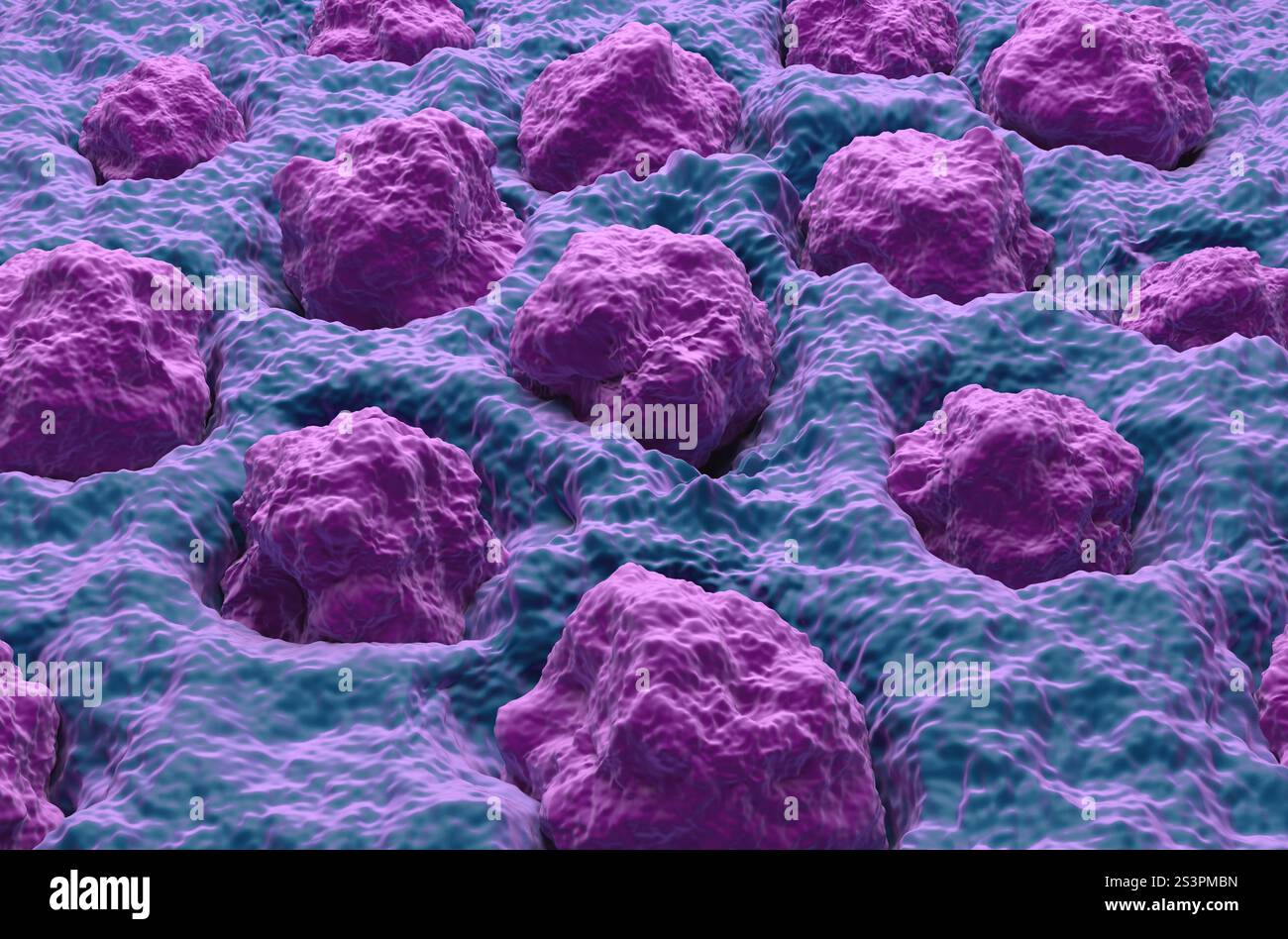 Menschliche Zungenoberfläche (Schleimhaut mit Papille) - isometrische Ansicht 3D Abbildung Stockfoto Menschliche Zungenoberfläche (Schleimhaut mit Papille) - isometrische Ansicht 3D Abbildung Stockfoto